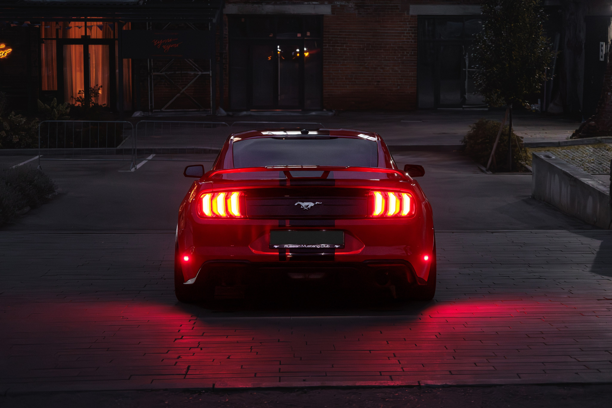 Mustang. Мелехов Дмитрий|Фотограф|Видеограф