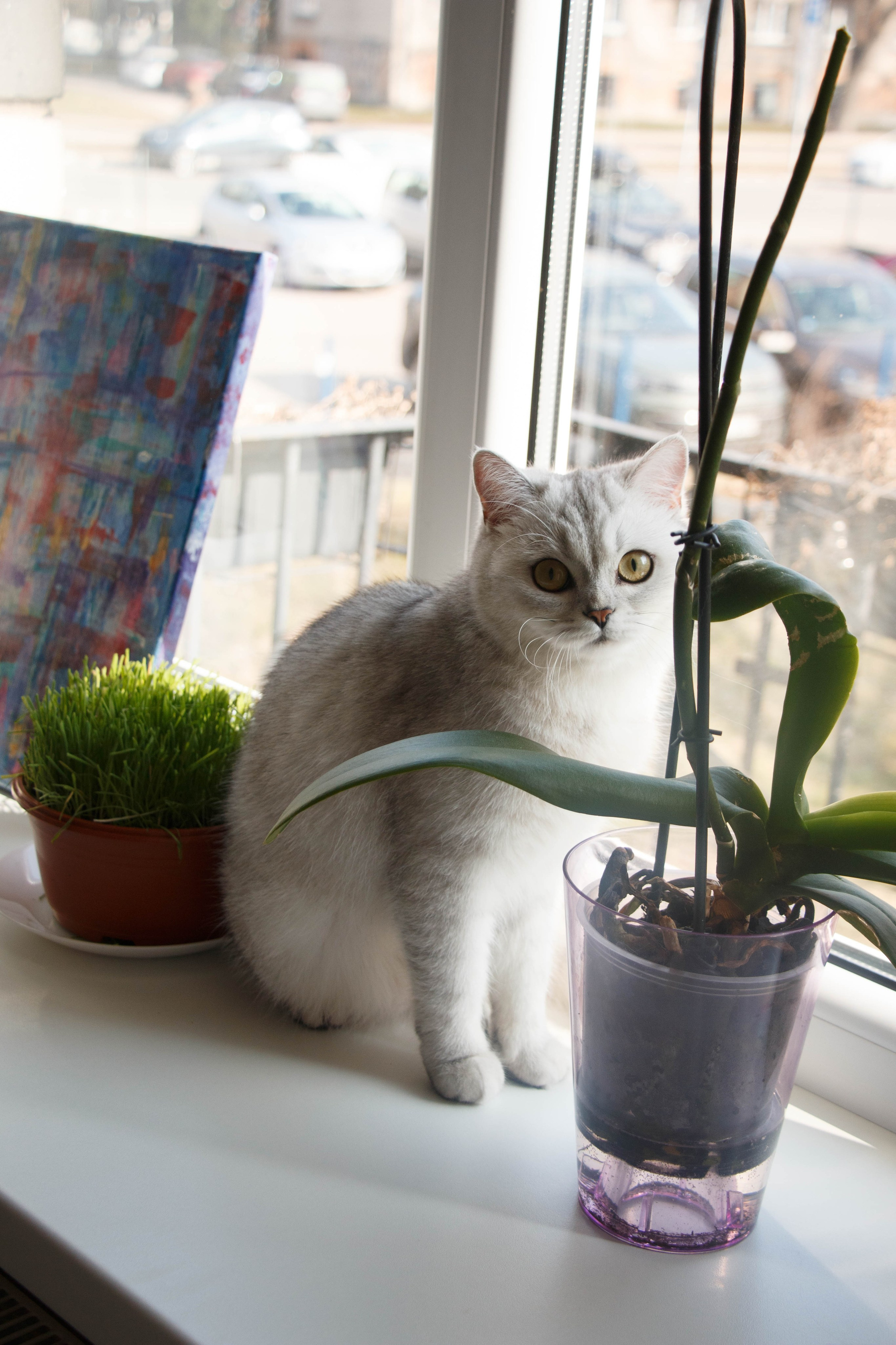 NASTYA & KITTI. Бережно сохраняю ваши чувства и истории на своих фотографиях