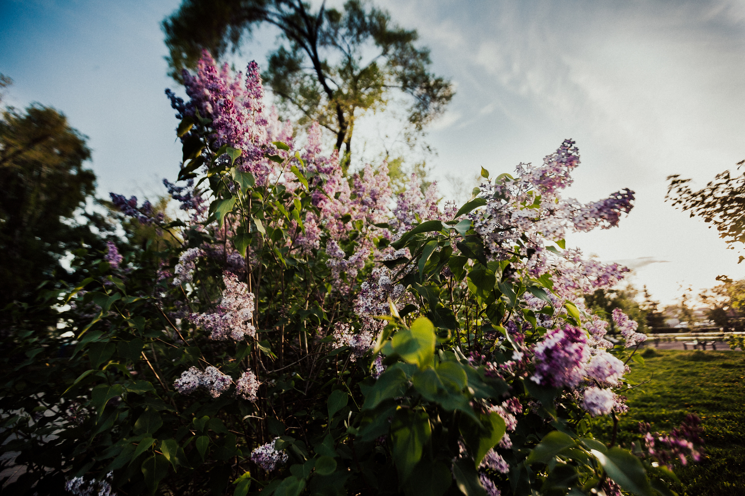 Алина с семьёй. Фотограф Шелудкова Яна, город Тюмень