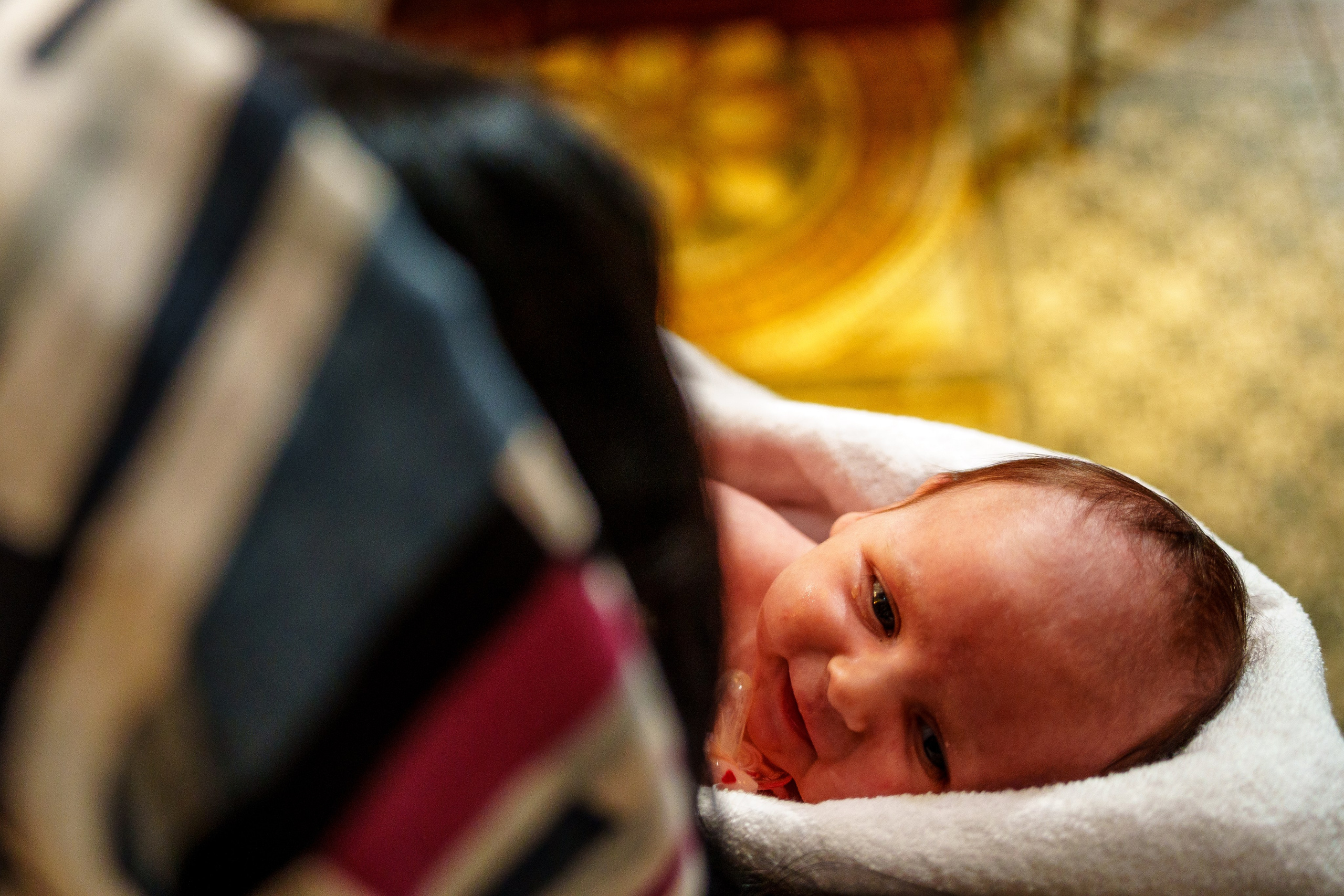 30.09.2023. Фотограф Андрей Чеботок (Белгород, Курск, Воронеж, Старый Оскол)