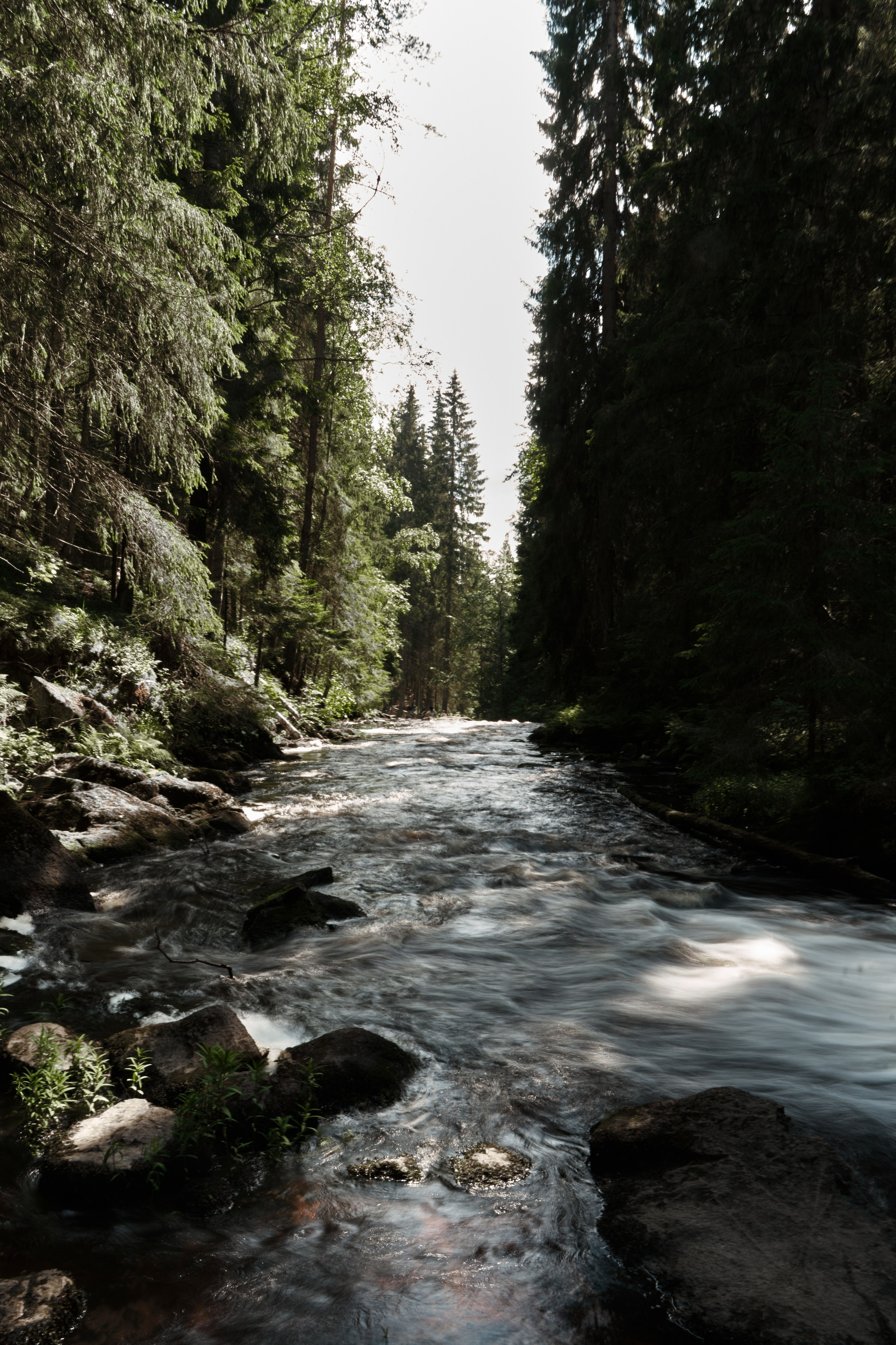 Europe. Olya Filina | Moscow Photographer