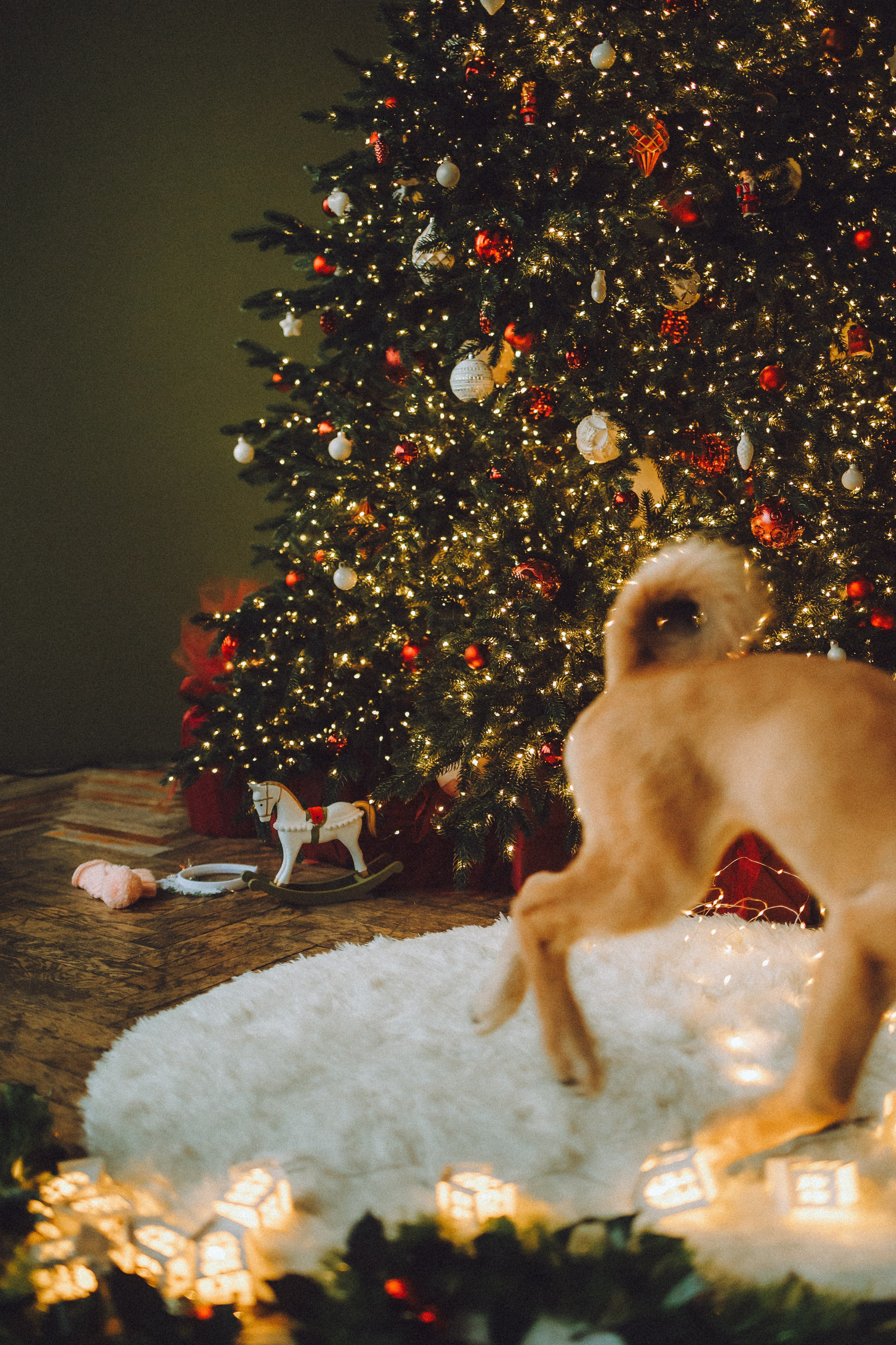 Джули, Шелли и их семья