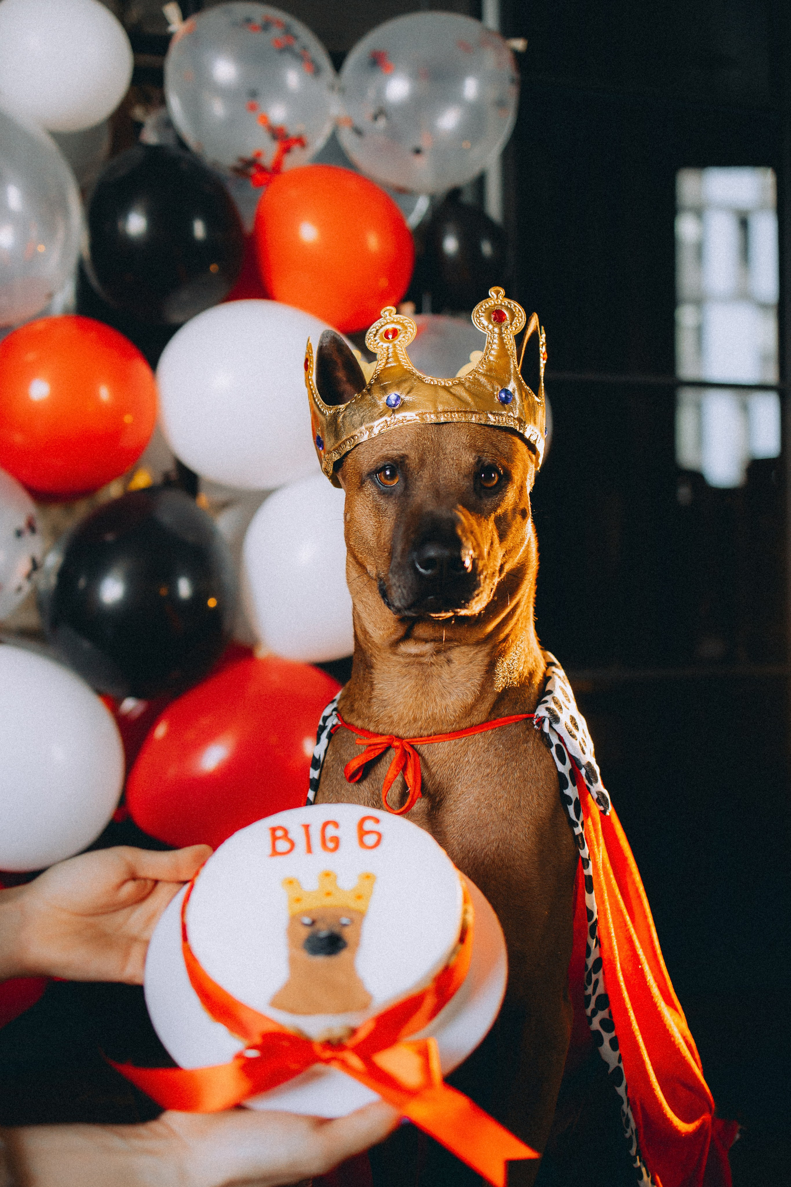 Оксана и Зевс