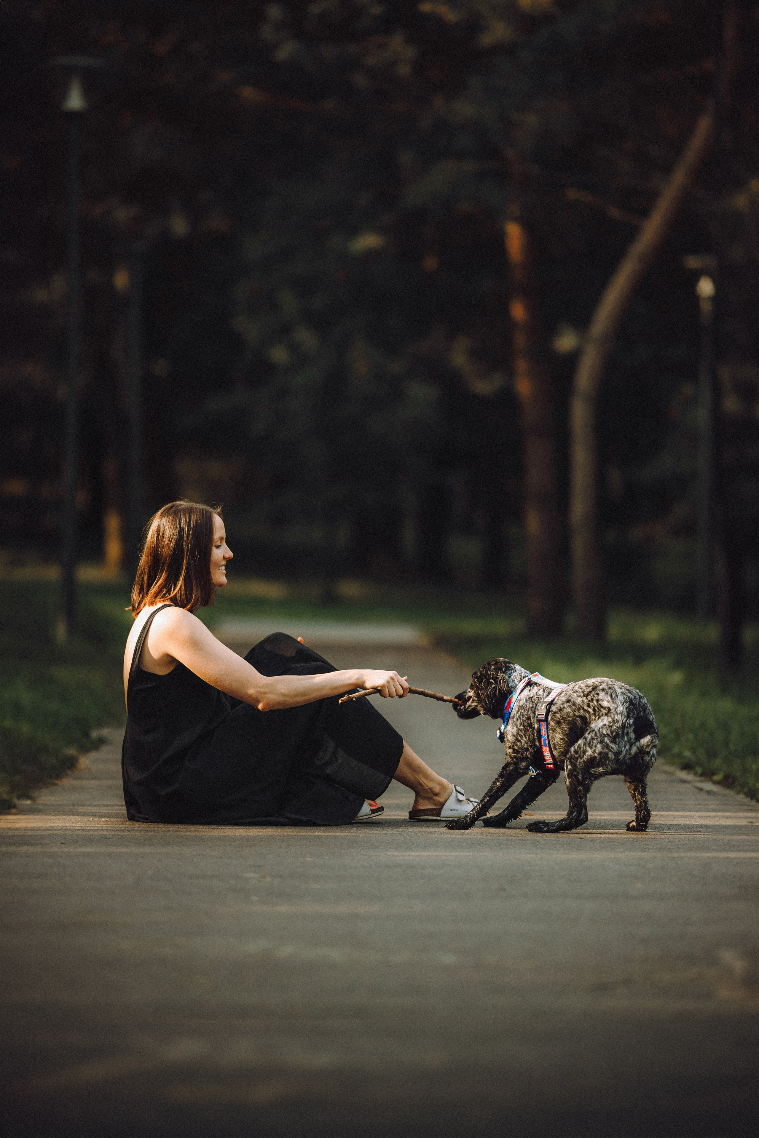 Маша и Ларри