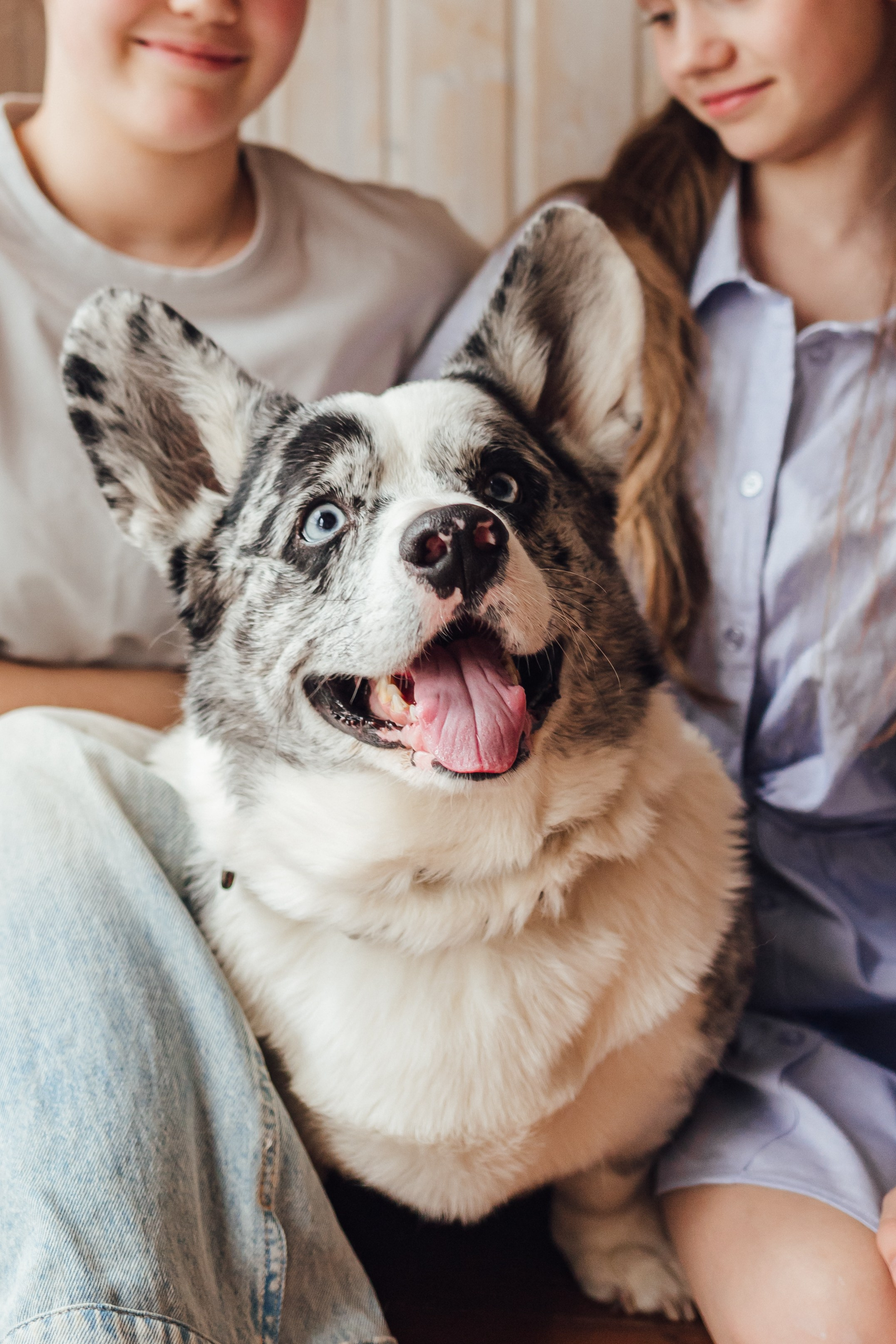 ЖЕНЯ, ВАЛЕРА, САША, МАША И ВИКИНГ. Семейный Фотограф в Санкт-Петербурге Пушкин Анастасия Дьяконенкова