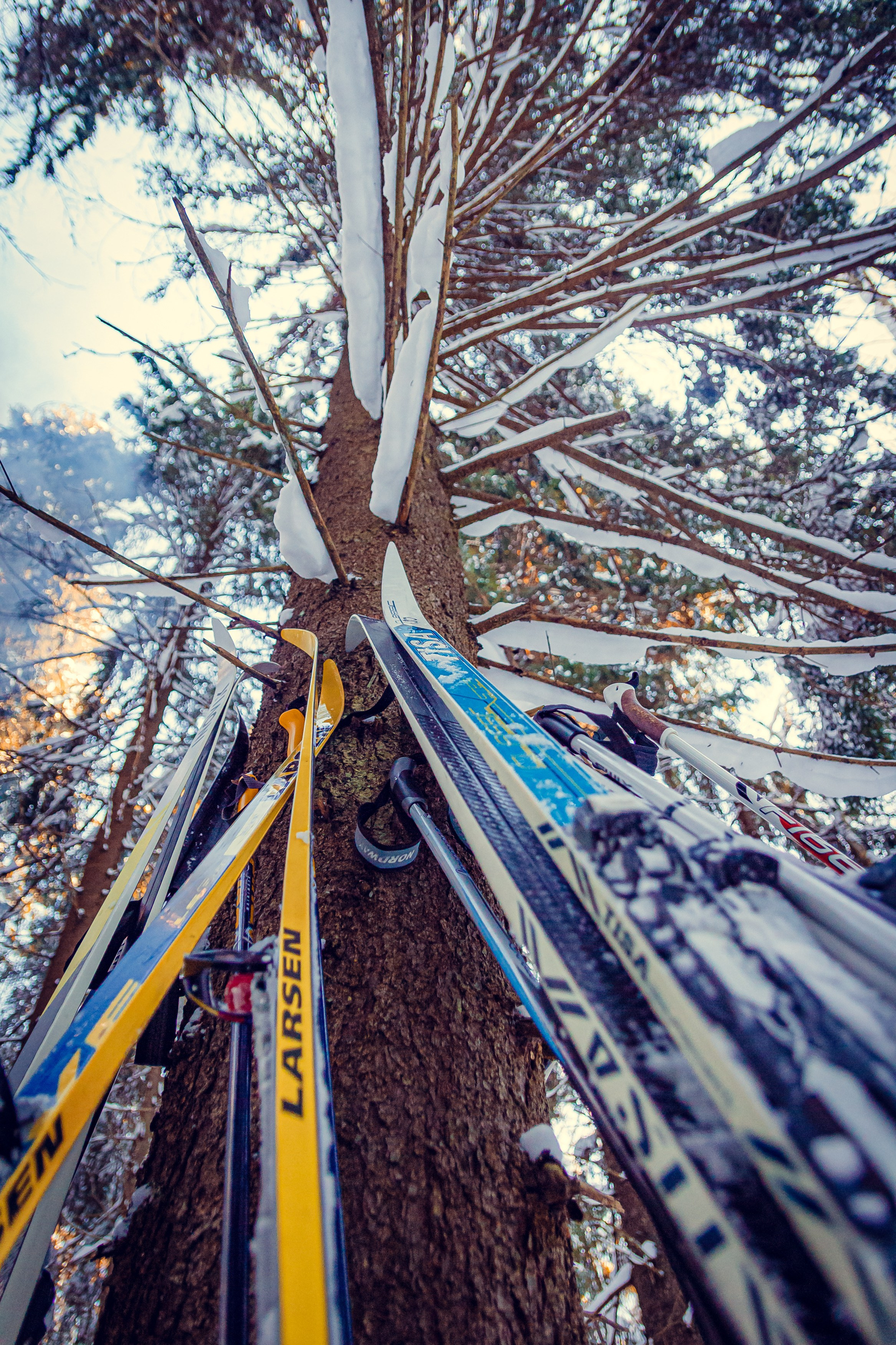 Путешествия. Репортажный фотограф Михаил Наволокин Москва