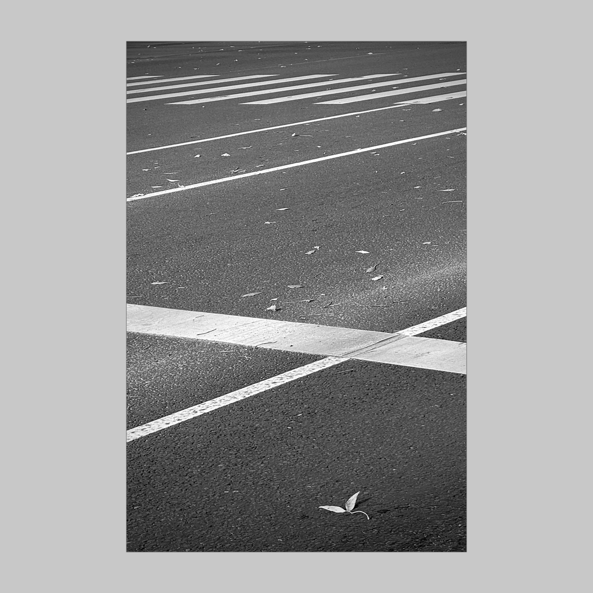 Городская сюита. Фотограф Юлия Близнецова