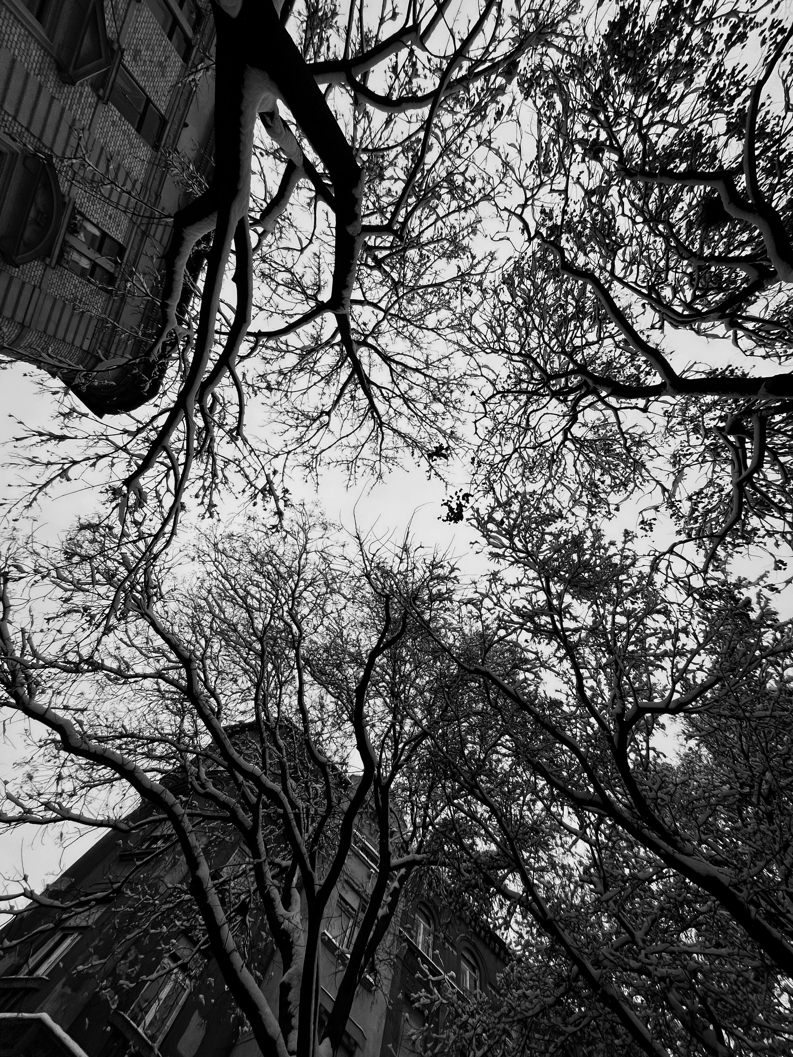 STRT JRNL by Knyazev Yura issue #5 February 2026. Photographer in Budapest  — Yura Knyazev