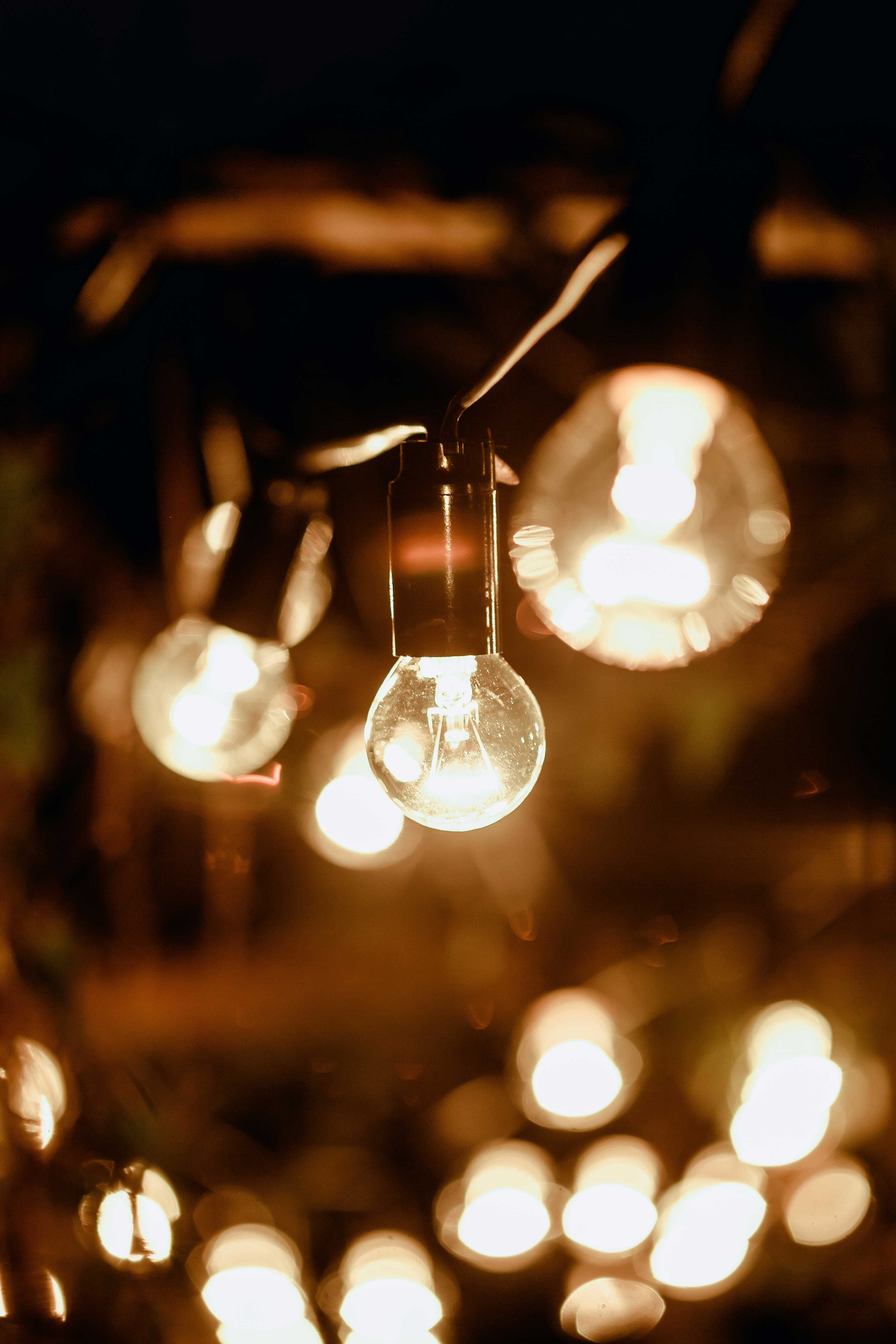 Невеста в голубом свадебном платье с каштановыми распущенными волосами ночью в лесу украшенном гирляндами