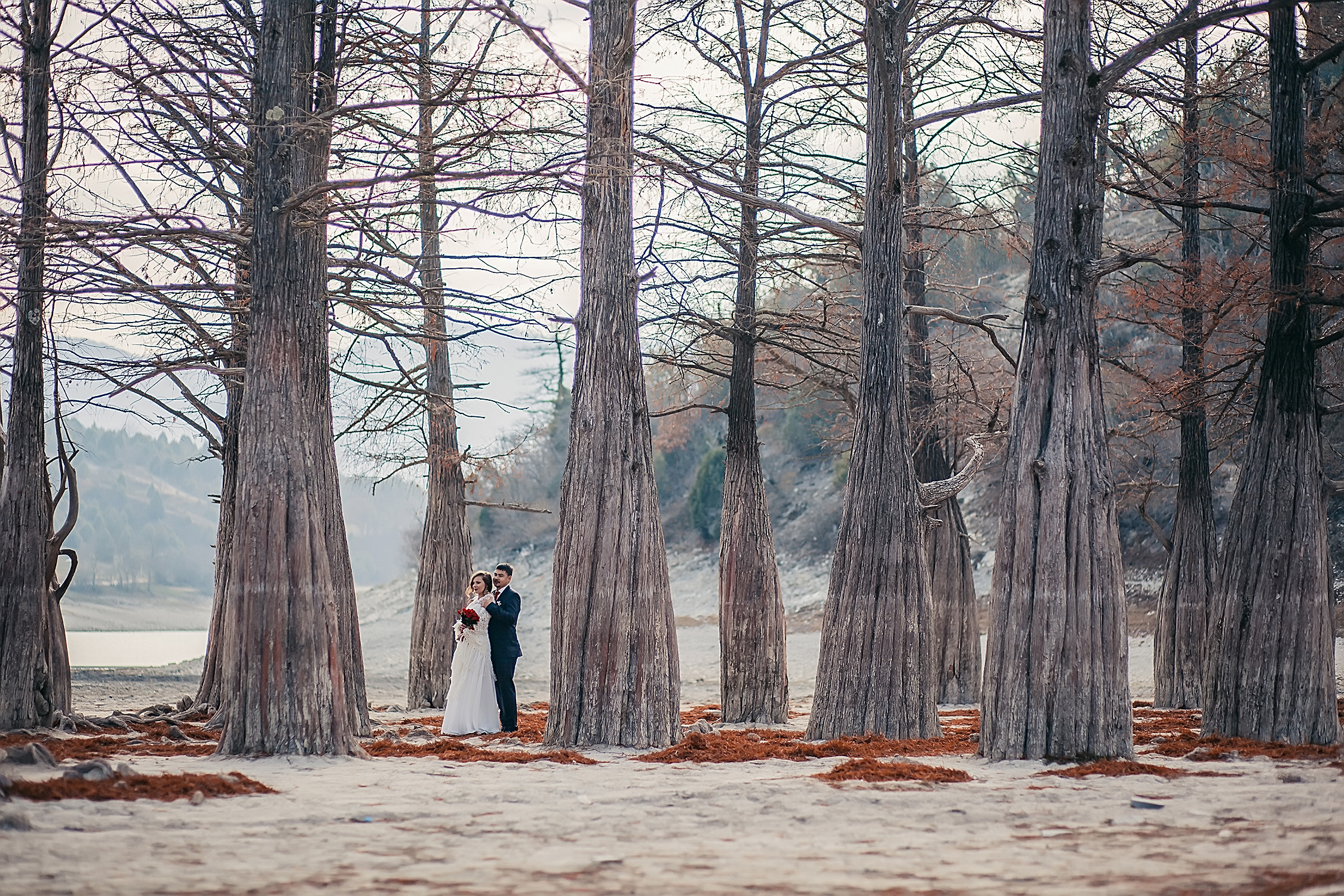 Жених и невеста стоят обнявшись в осеннем лесу
