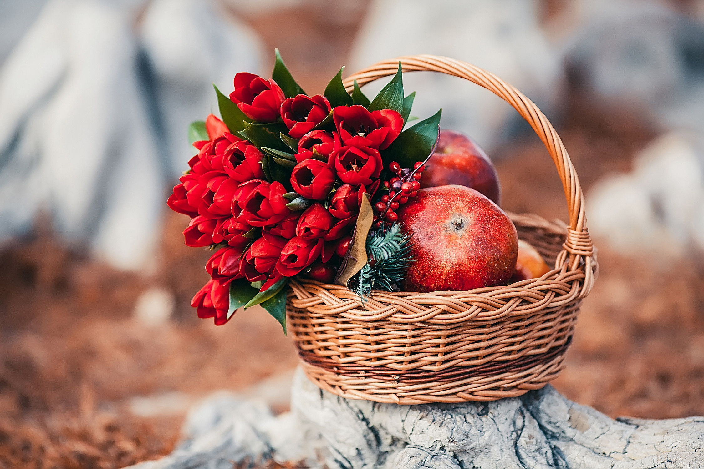 Свадебный букет из красных тюльпанов  в плетеной корзине с гранатами