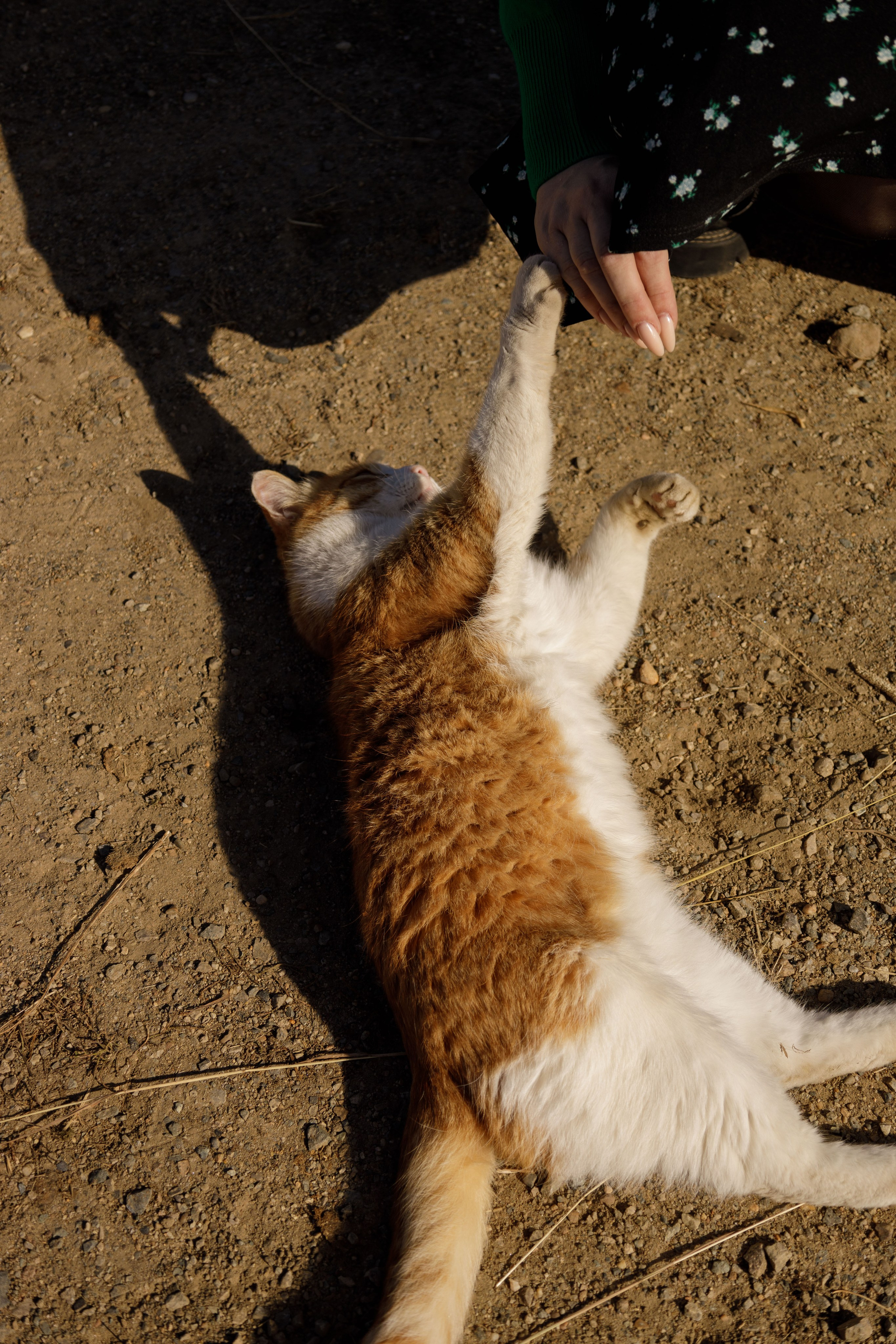 КАТЯ. Фотограф в Благовещенске Дацунова Таня