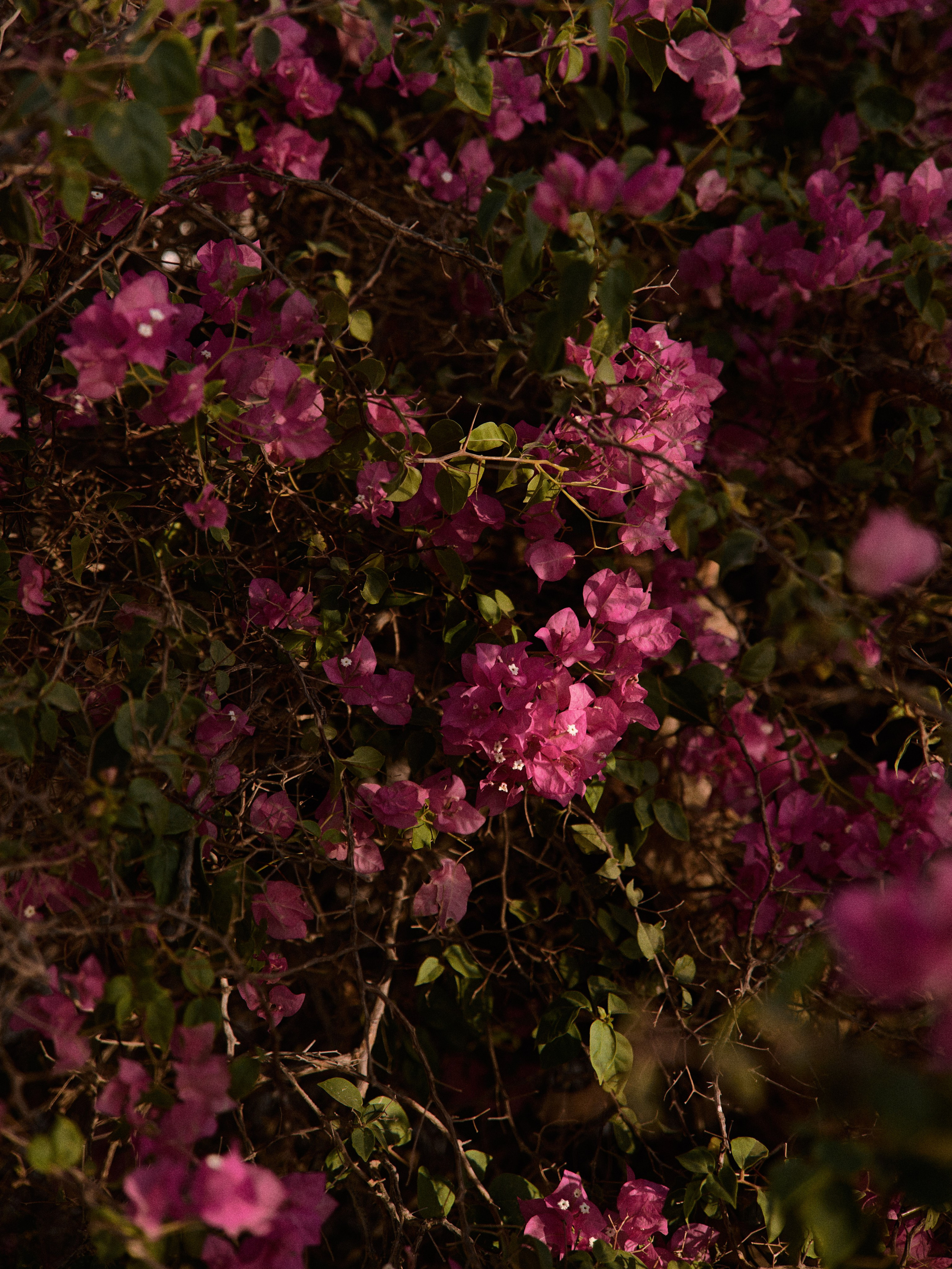 Природа. Jorgis Talè — photographer, kind person, teacher of arts and other mag