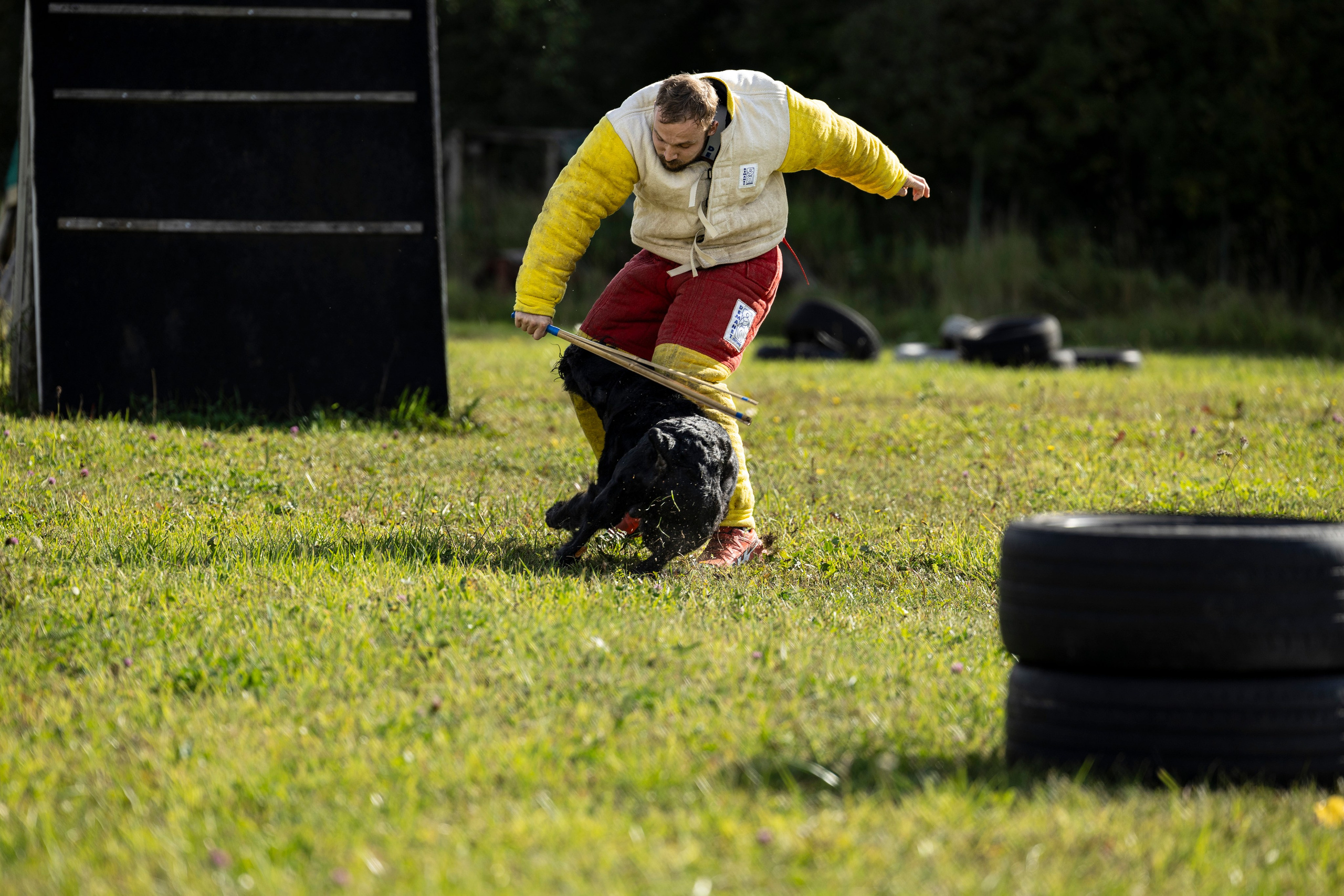 Испытания по Мондьорингу г. Пушкин. Фотограф-анималист Анна Маринич