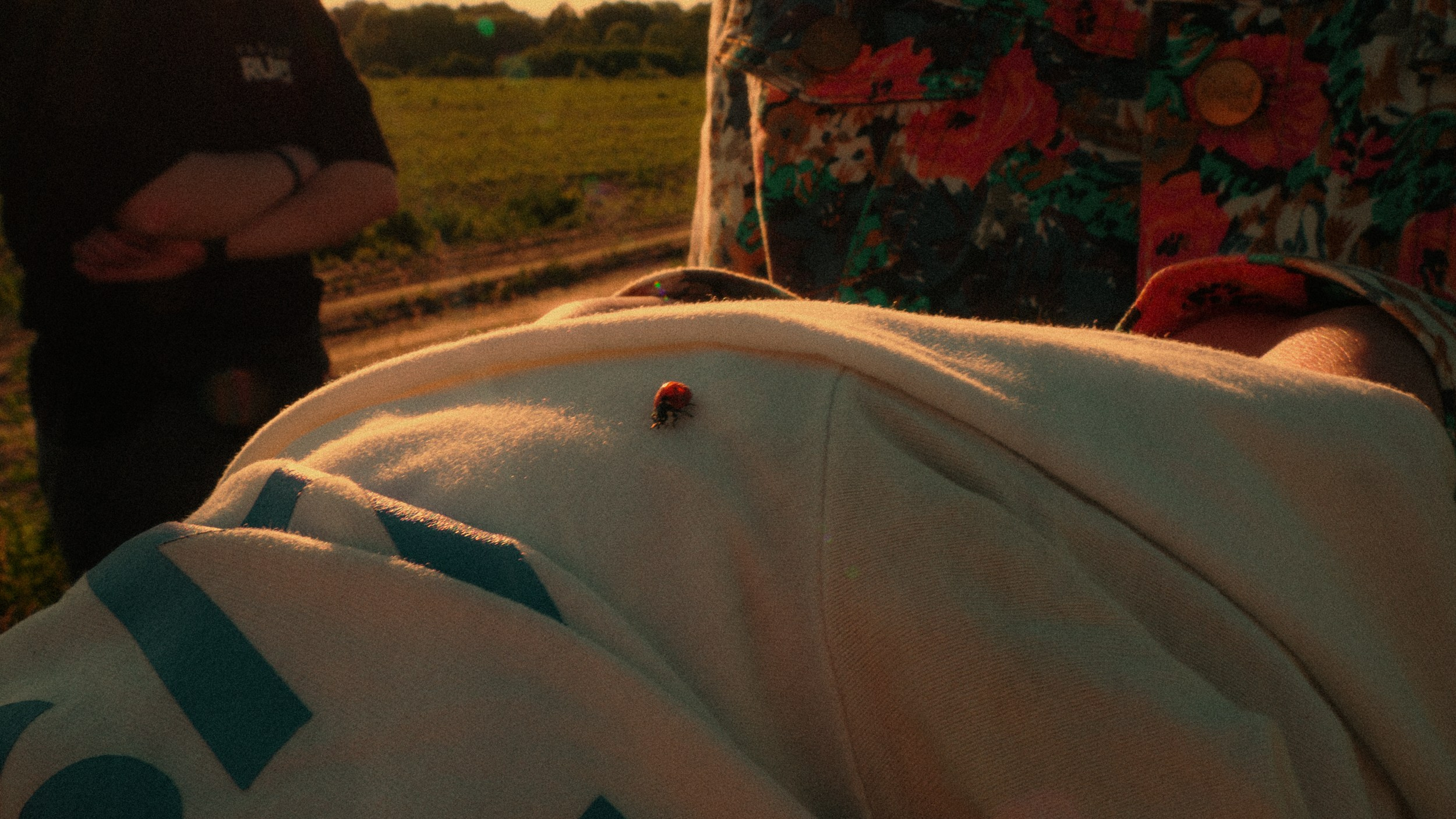 Дача '24. Фёдор Малюгин. Ваш бади в визуале