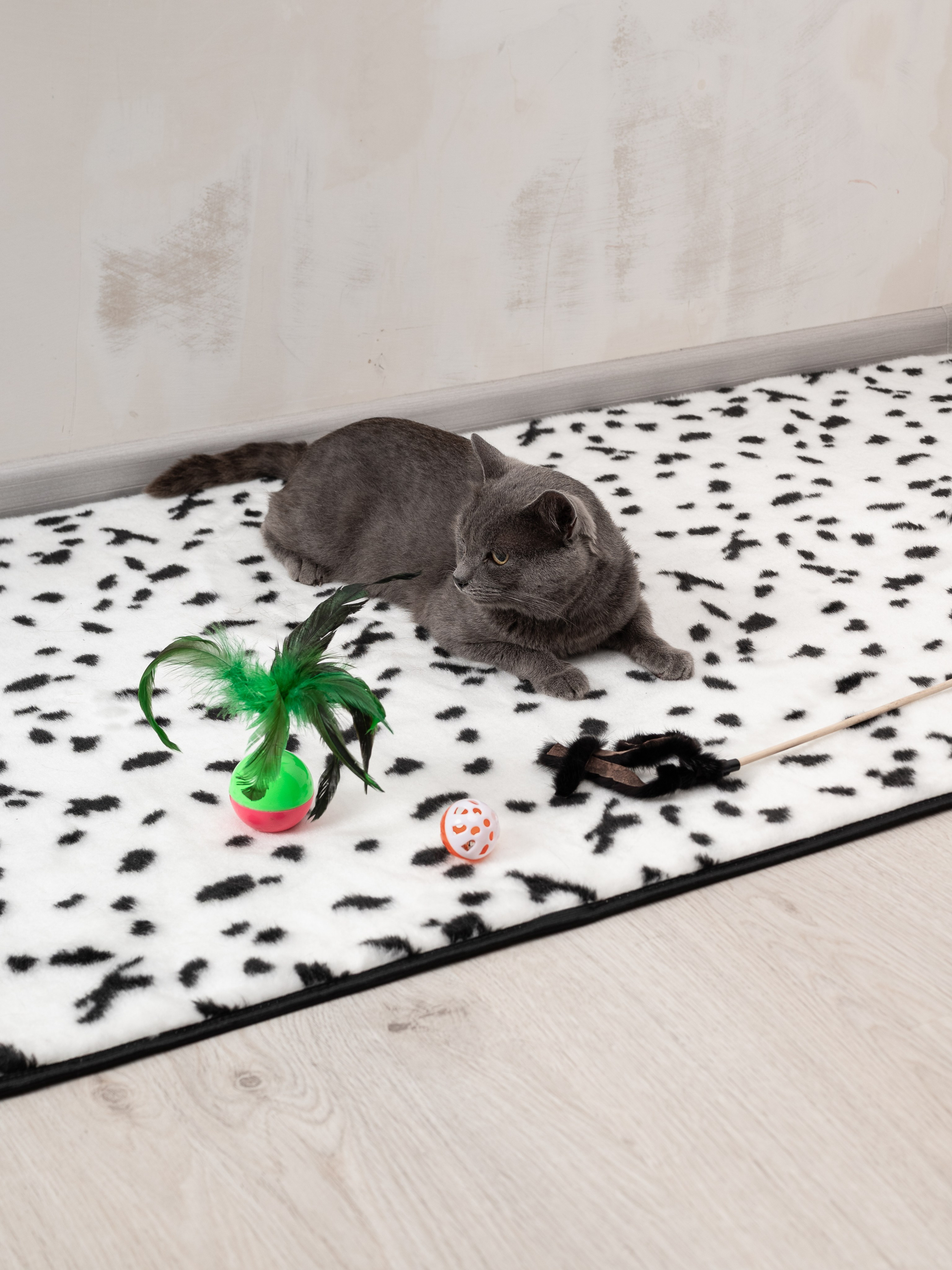 Коврики для дома. Предметный фотограф, фото для маркетплейсов Пятигорск, КМВ