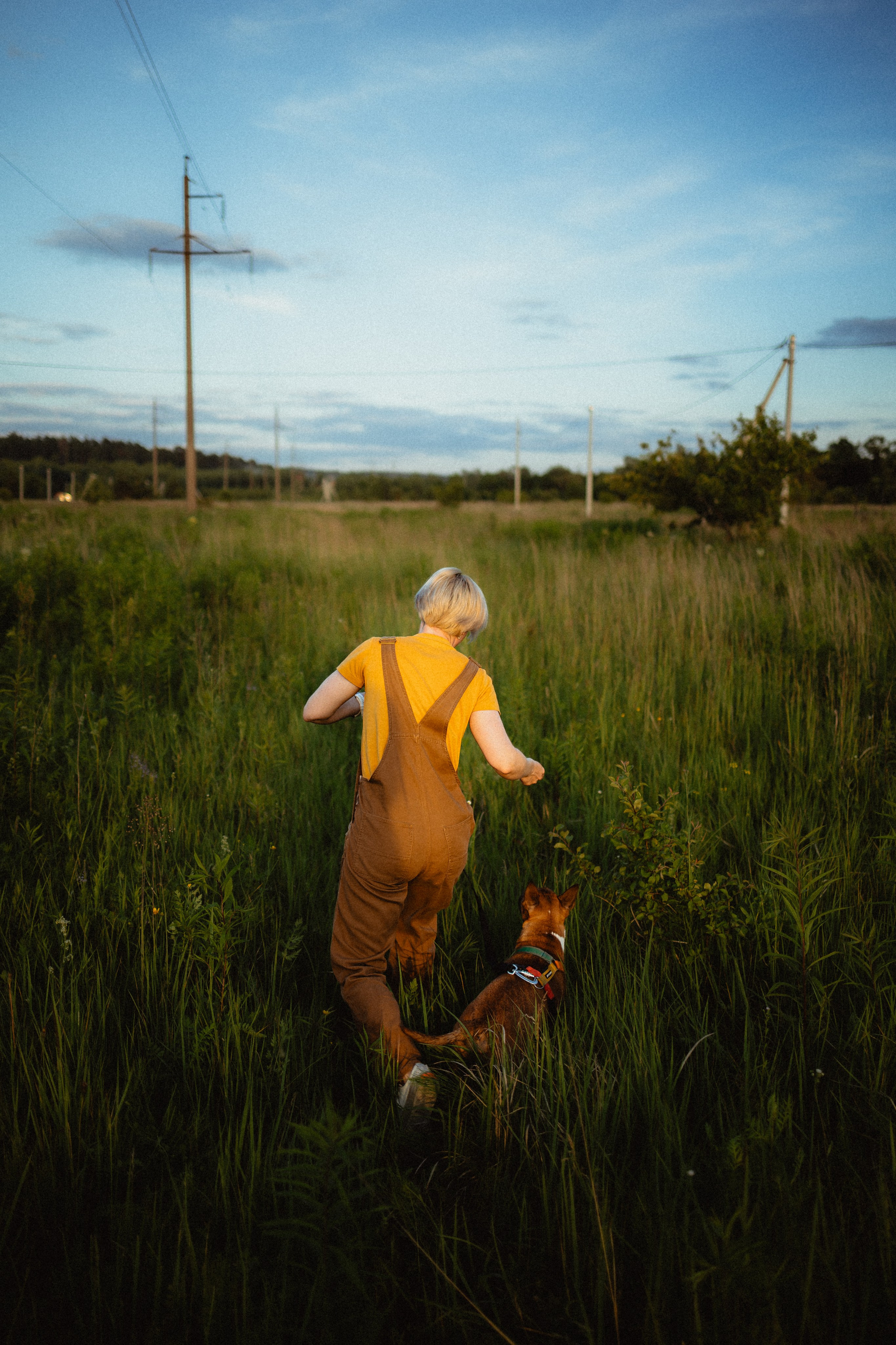 Выездной дог-тренинг от школы «Шерсть имею»