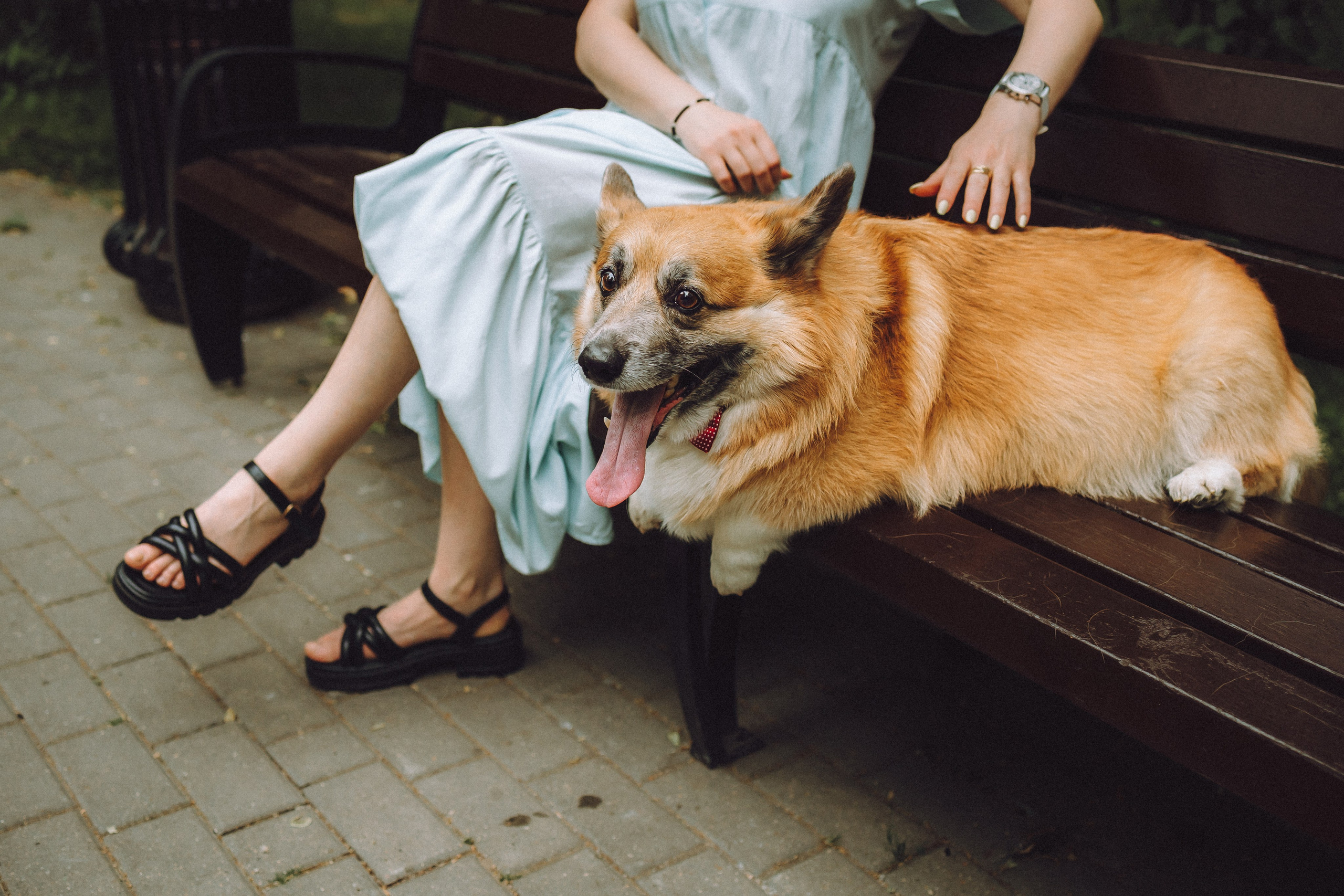 Ира, Леша и Харли