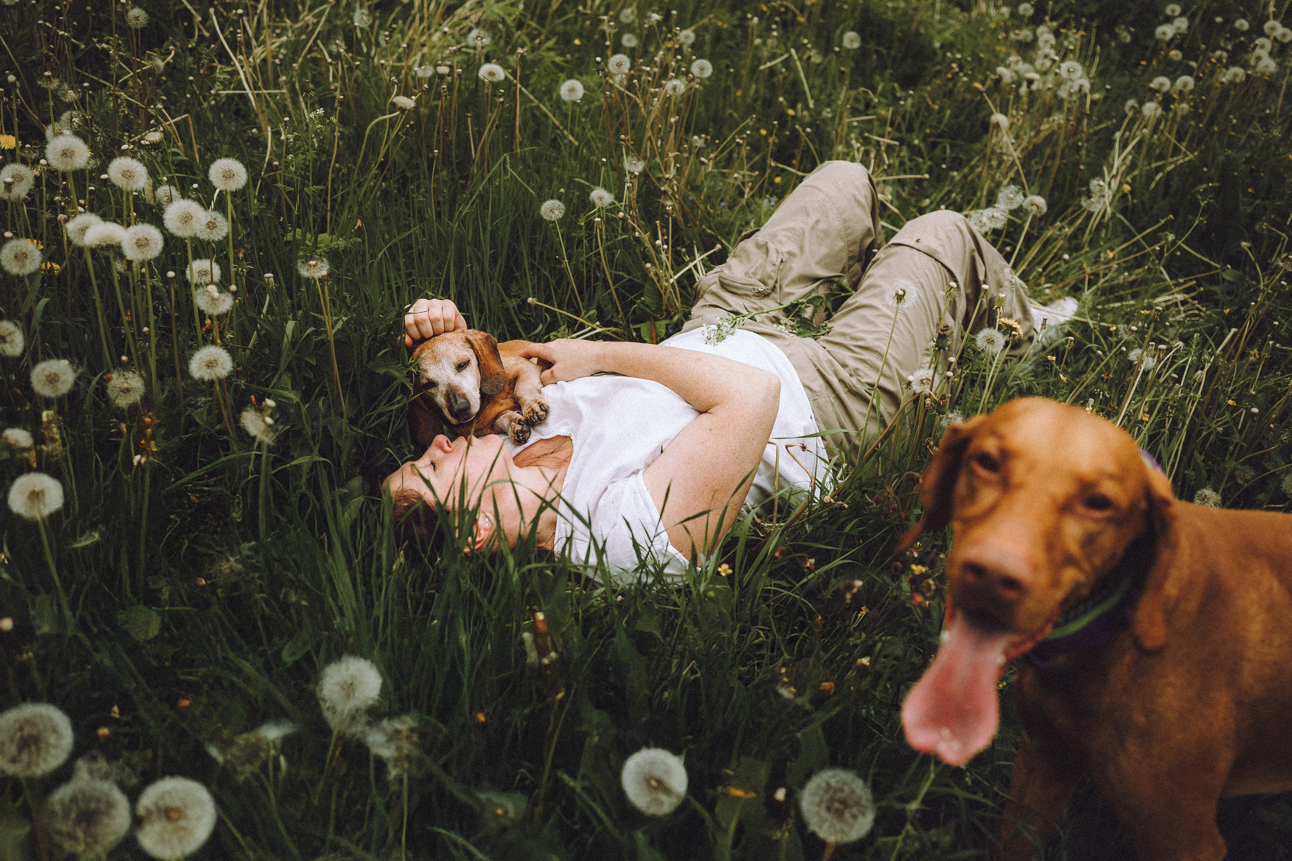 Груша, Данни, Фунтик и их семья