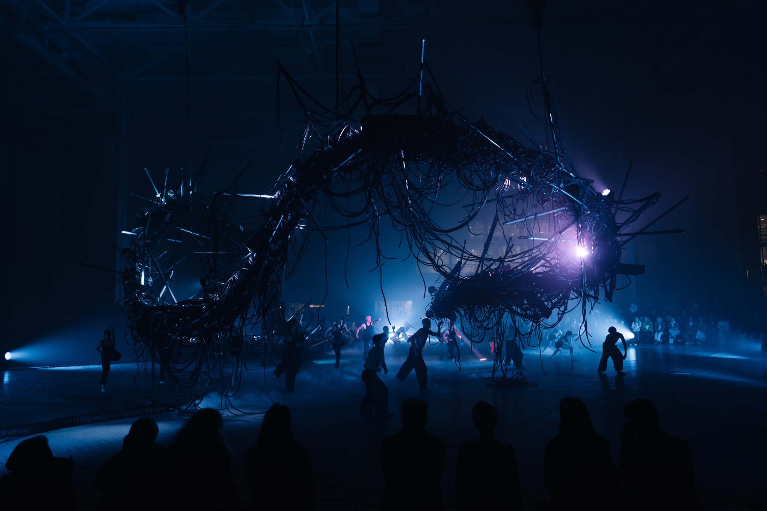 PERFORMA, The Hour of the Horse. @tomrus: Рустам Шагиморданов — фотограф