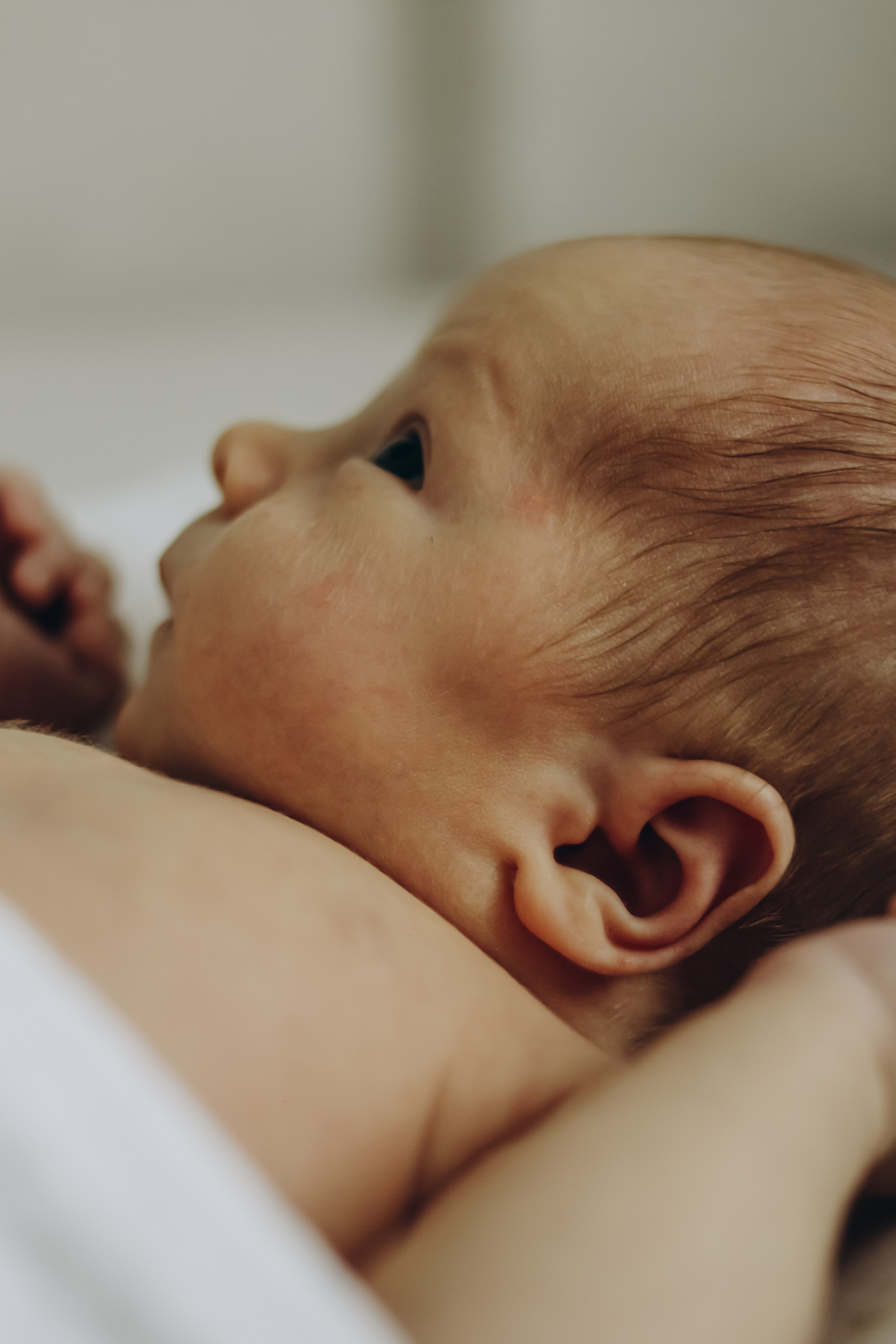 Домашняя 23.08.2025. Свой фотограф Нижний Новгород