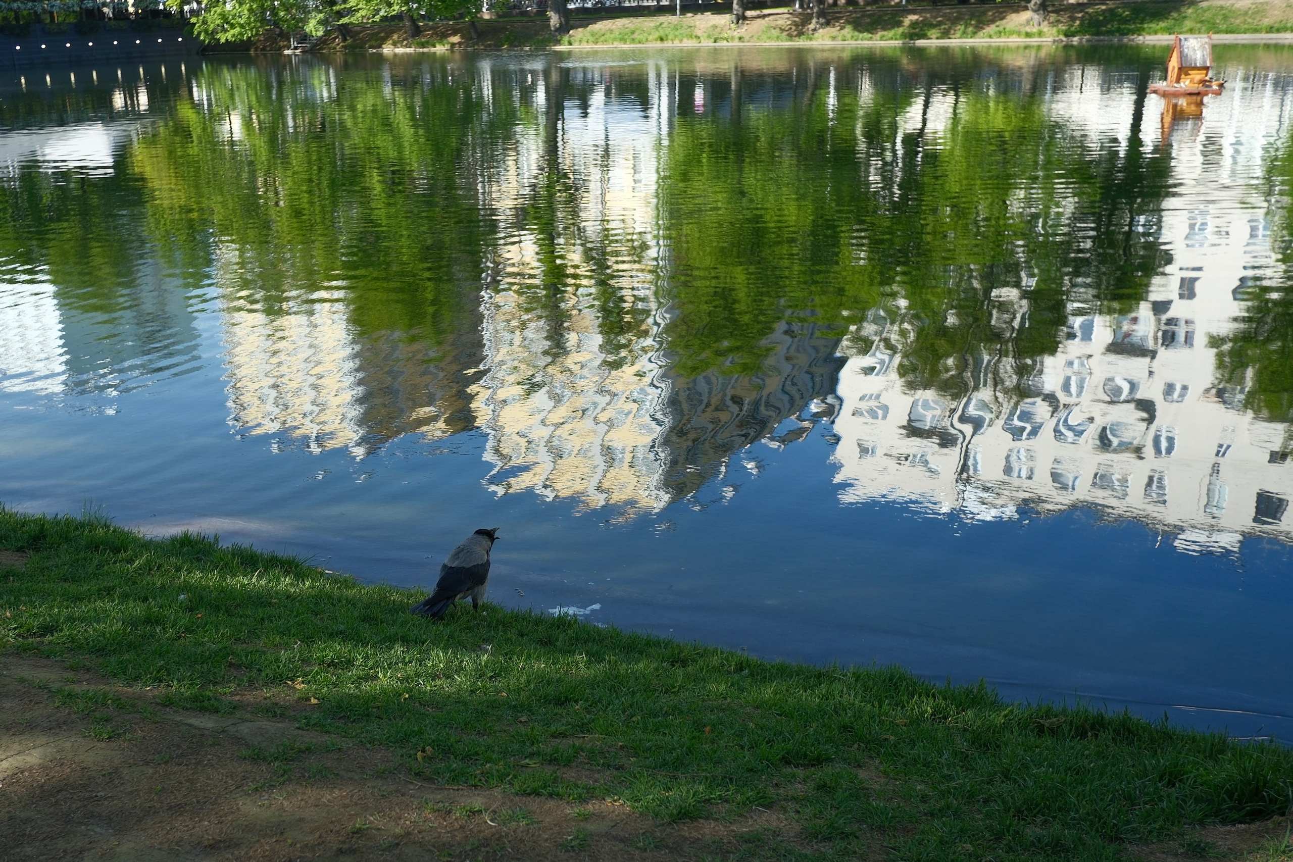 Улица, люди, жизнь…