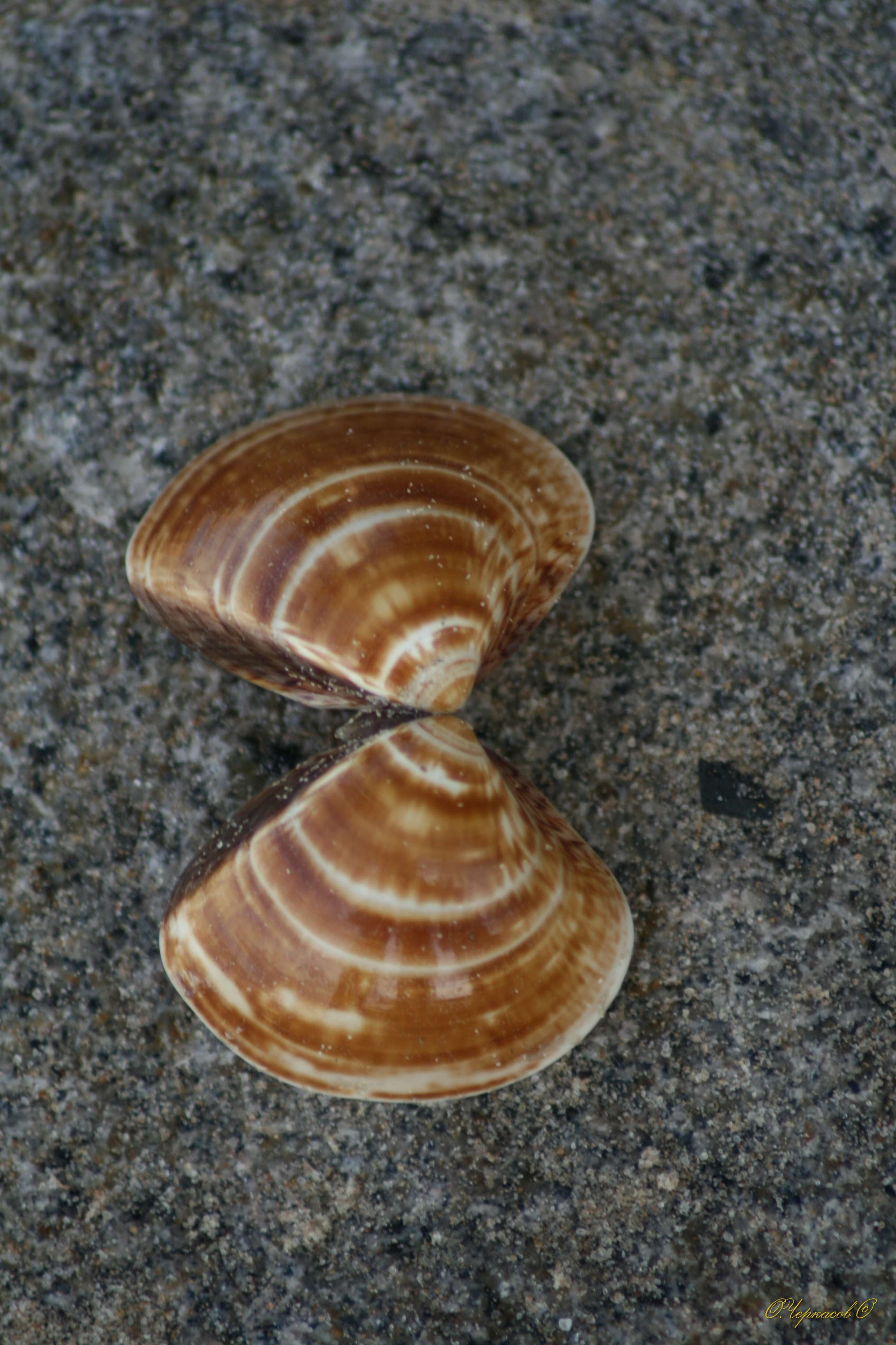 Вьетнам 2008 г. Улица, люди, жизнь…