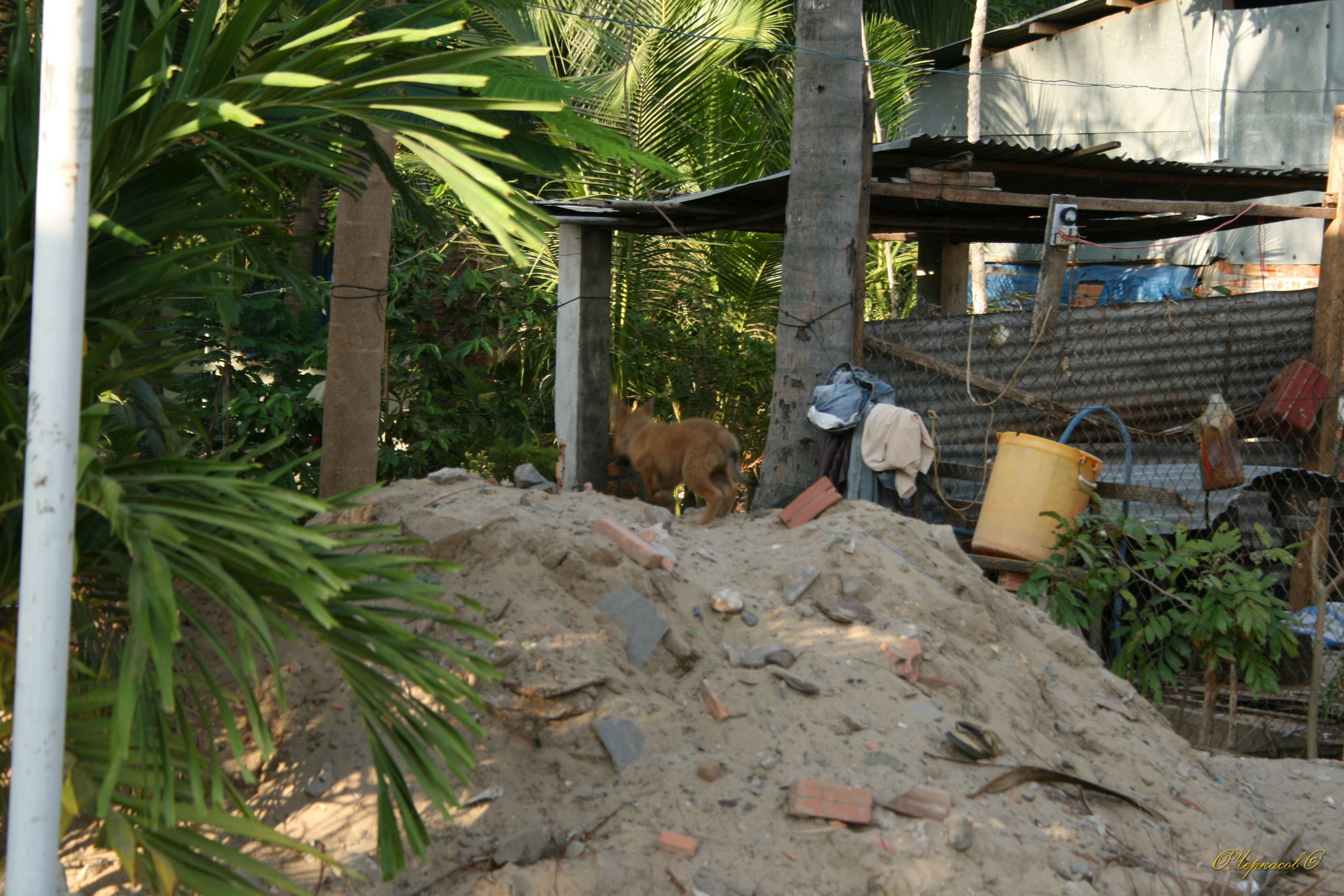 Вьетнам 2008 г. Улица, люди, жизнь…