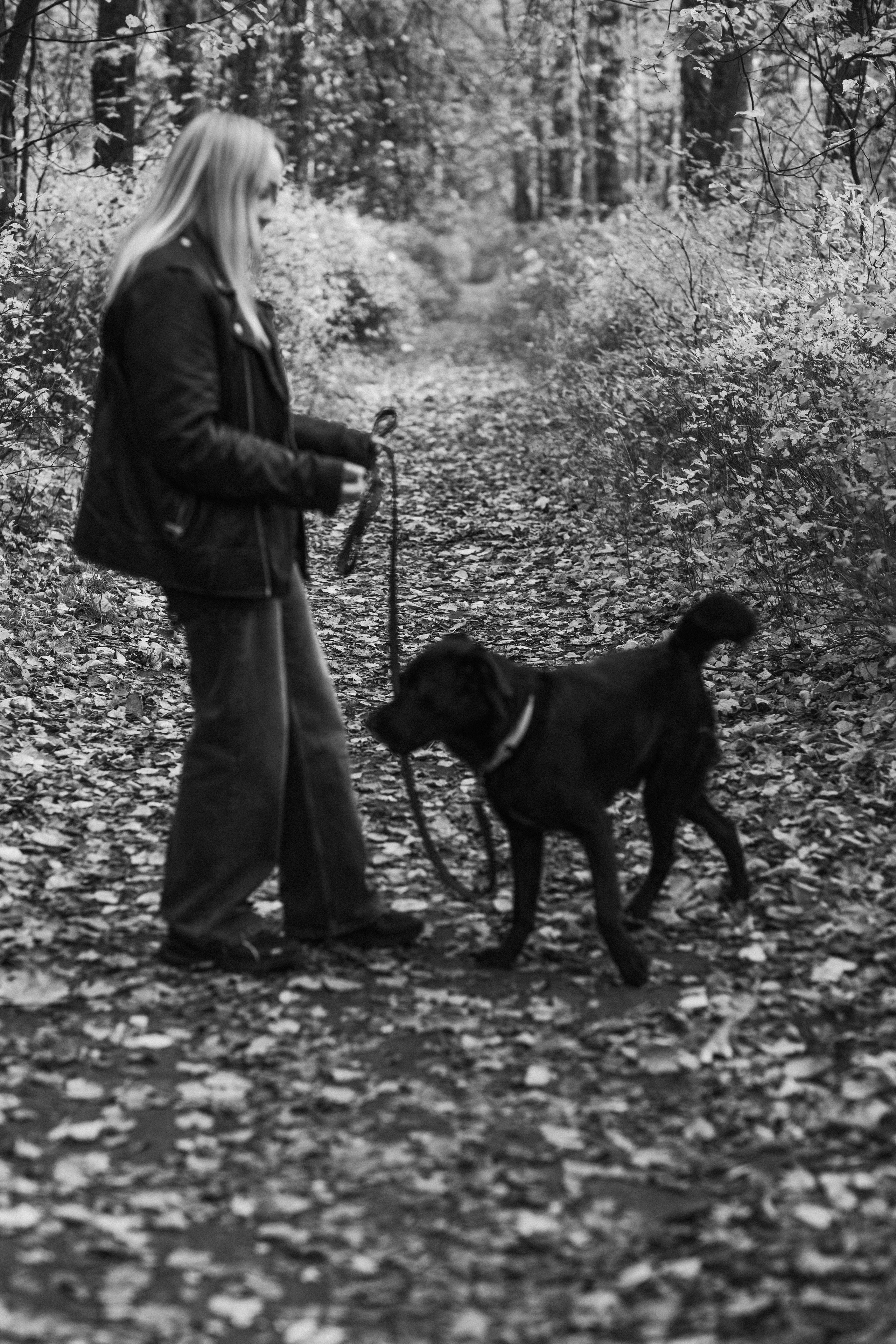 Анастасия и Балу. Фотограф — Анималист Наталья Тямушева