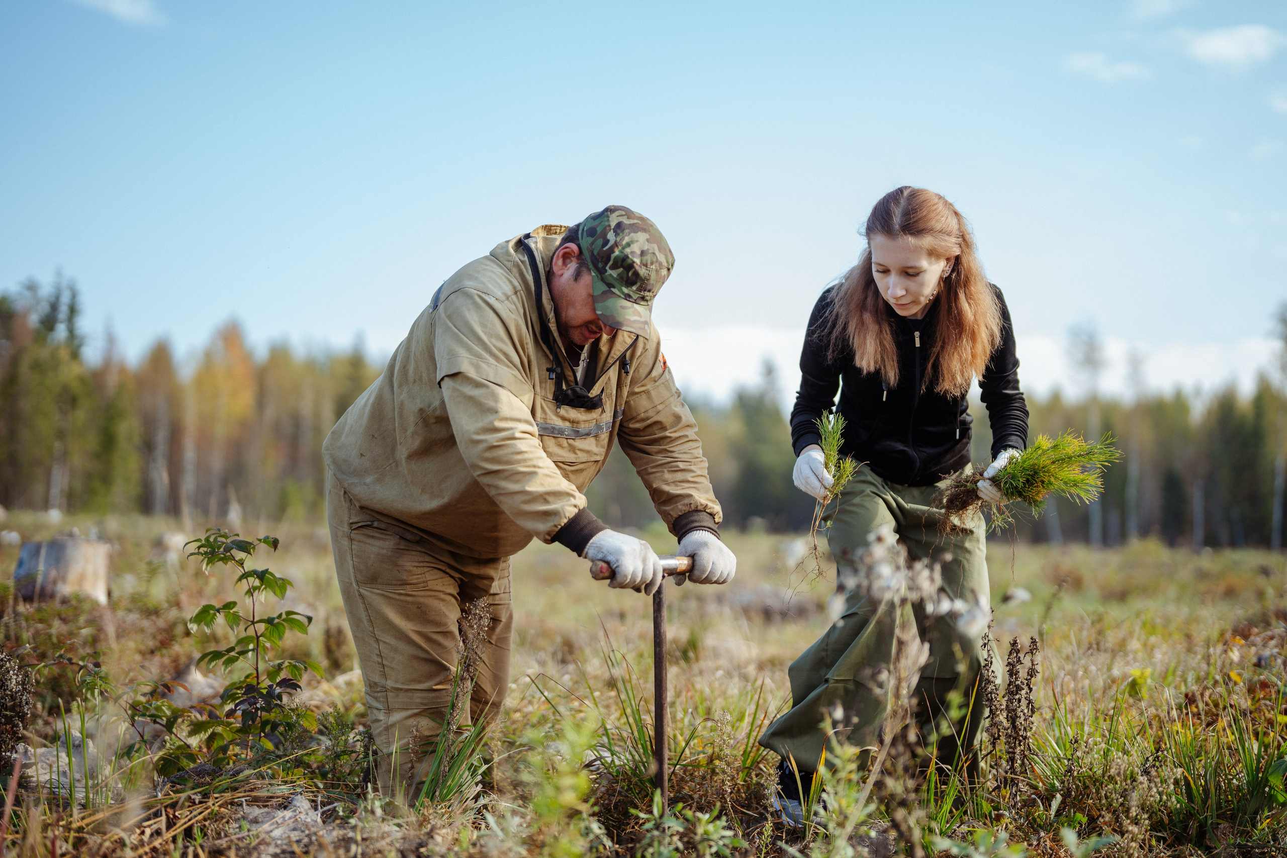 СБЕР · ЭКА · Посадка сеянцев. Владимир Вершинин, тот самый свадебный видеограф