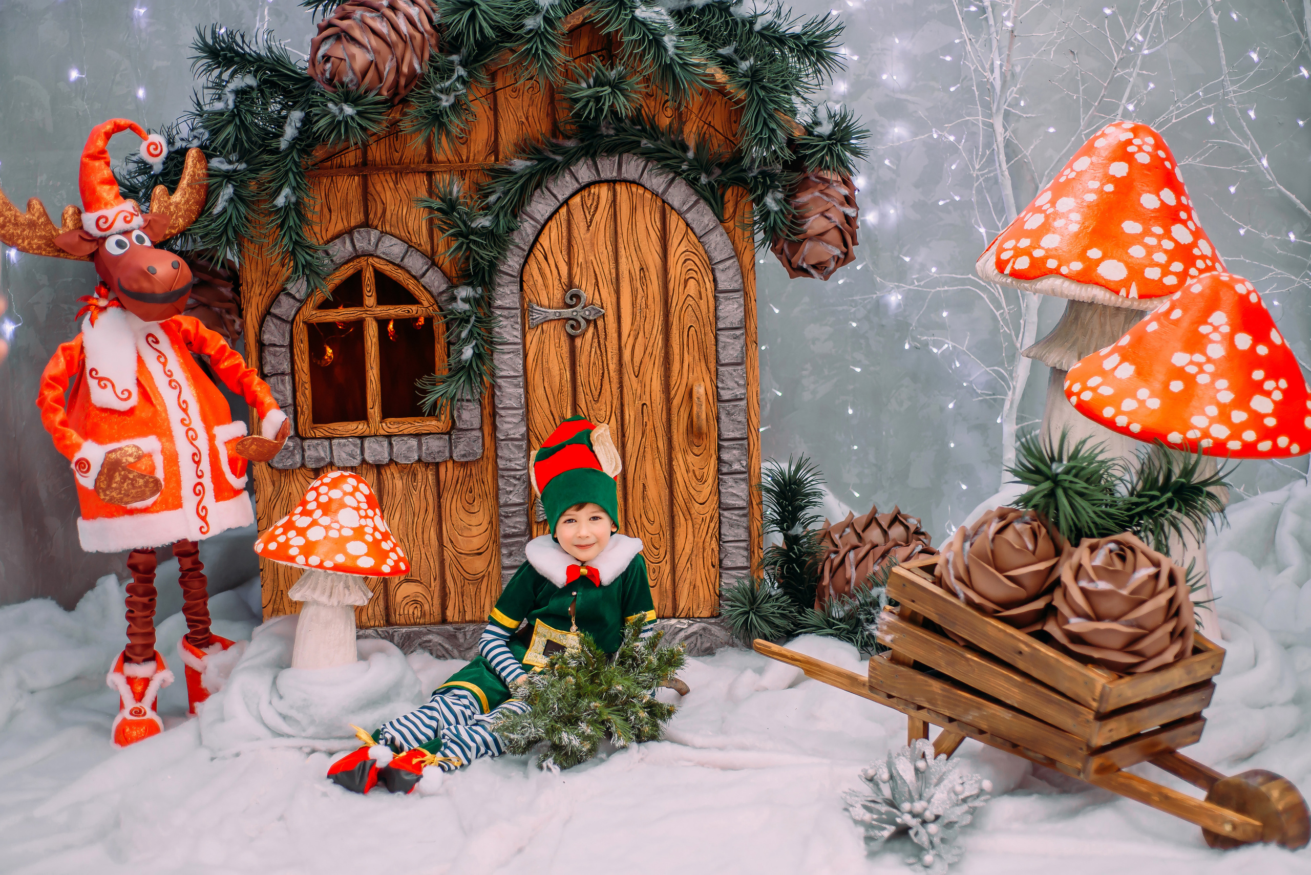 Гномик и Эльф. Детский и семейный фотограф Эльмира Веселова