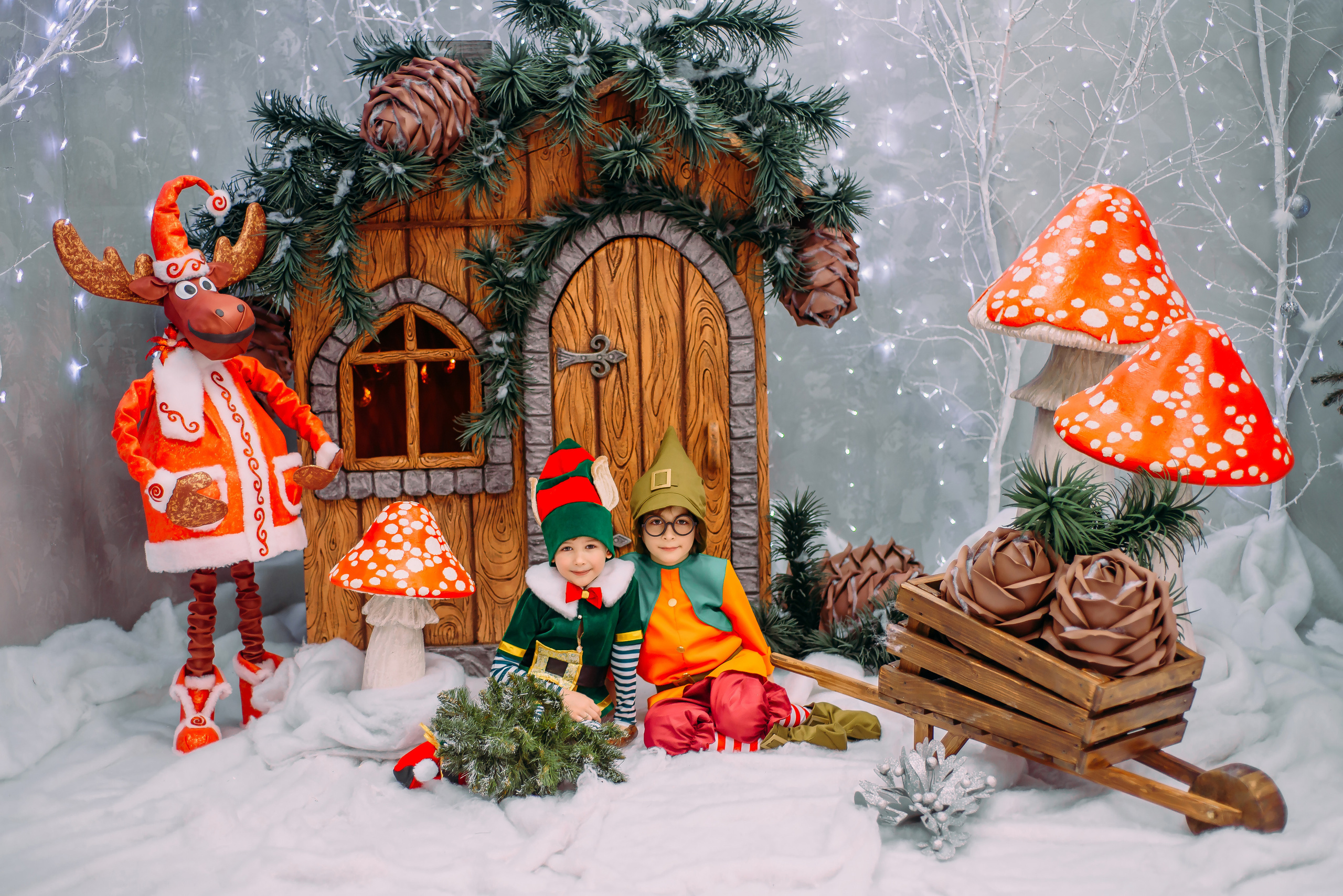 Гномик и Эльф. Детский и семейный фотограф Эльмира Веселова