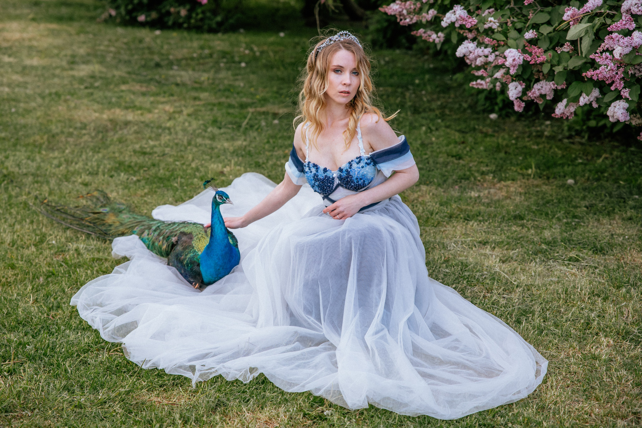 Павлин. Elena Sova — семейный и женский фотограф в Санкт-Петербурге