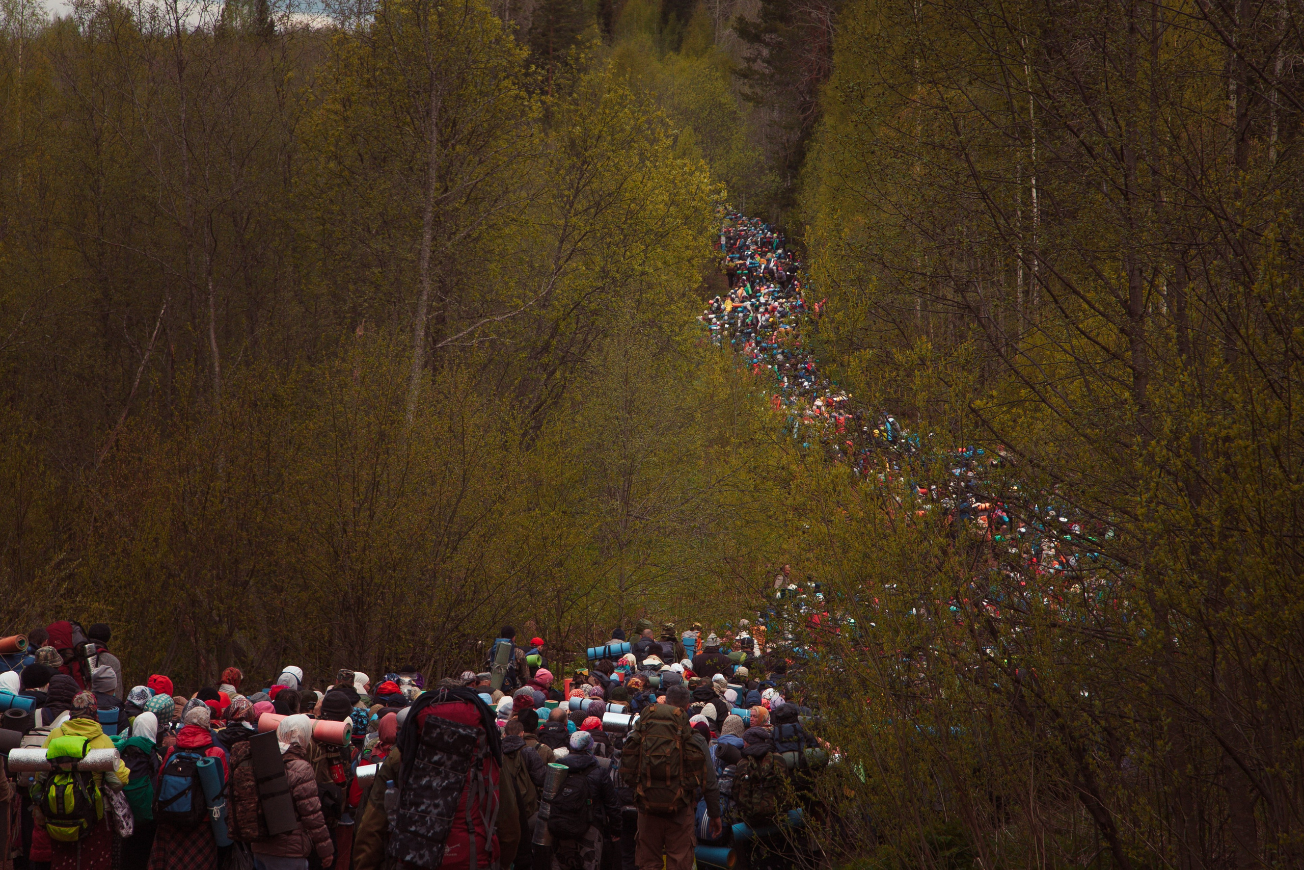 Великорецкий крестный ход. Свадебный и репортажный фотограф в Ярославле и Санкт-Петербурге Роман Микрюков