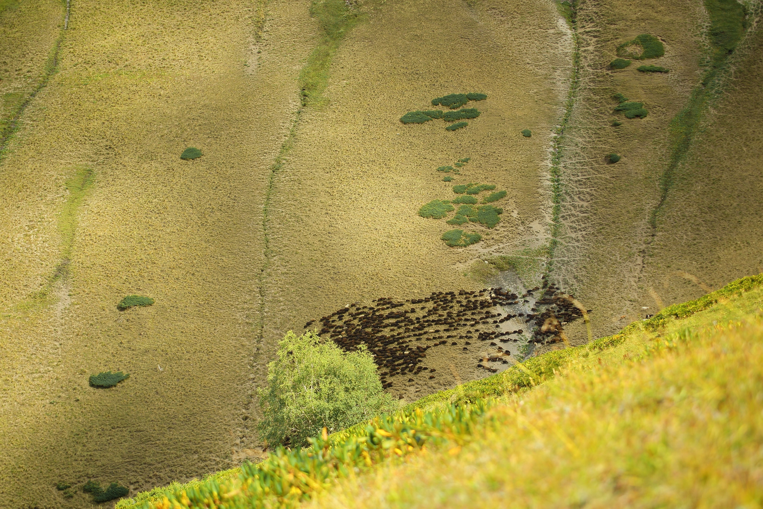 Кавказ. Свадебный и репортажный фотограф в Ярославле и Санкт-Петербурге Роман Микрюков