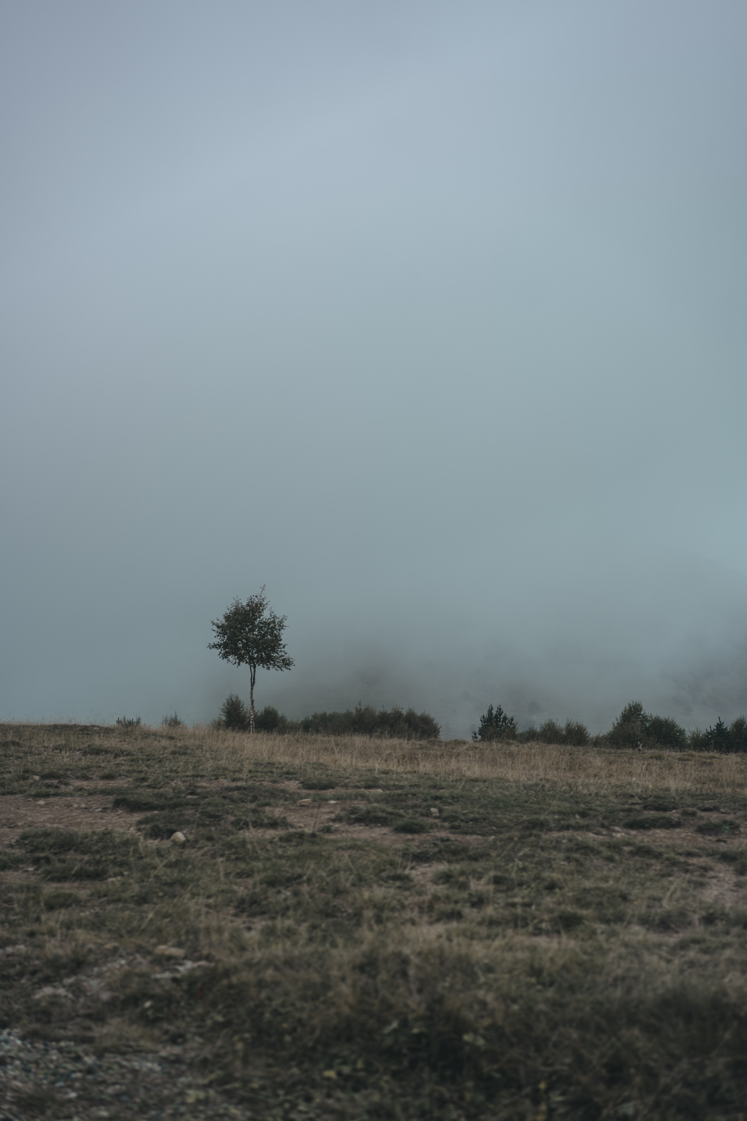 По дороге к Джилы- Су. Фотограф Дарья Филатова