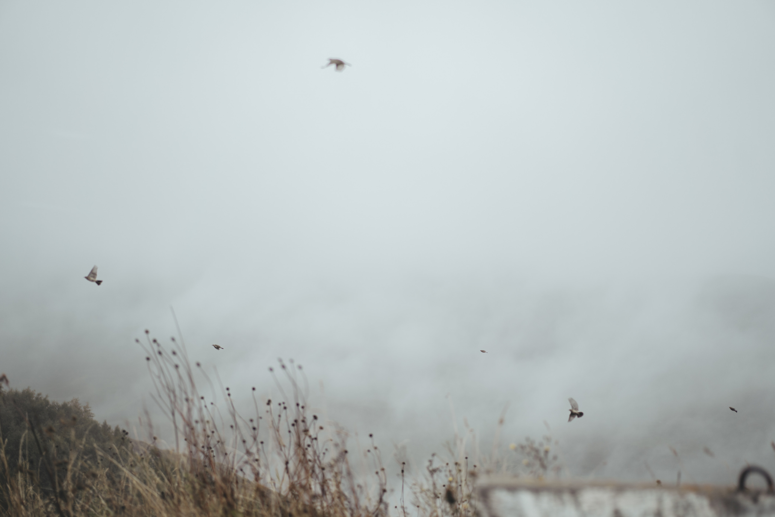 По дороге к Джилы- Су. Фотограф Дарья Филатова