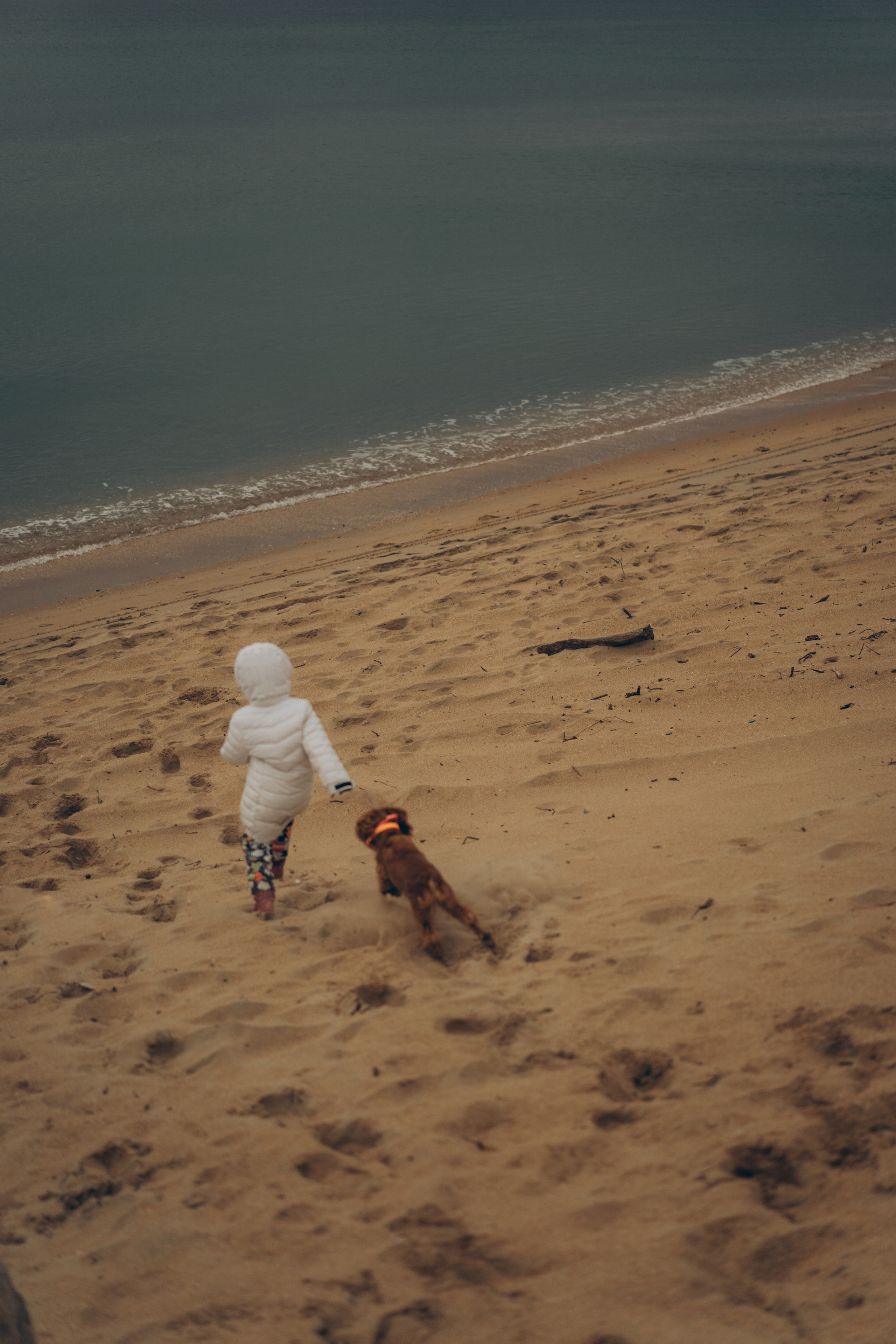 В сказке. Фотограф Дарья Филатова