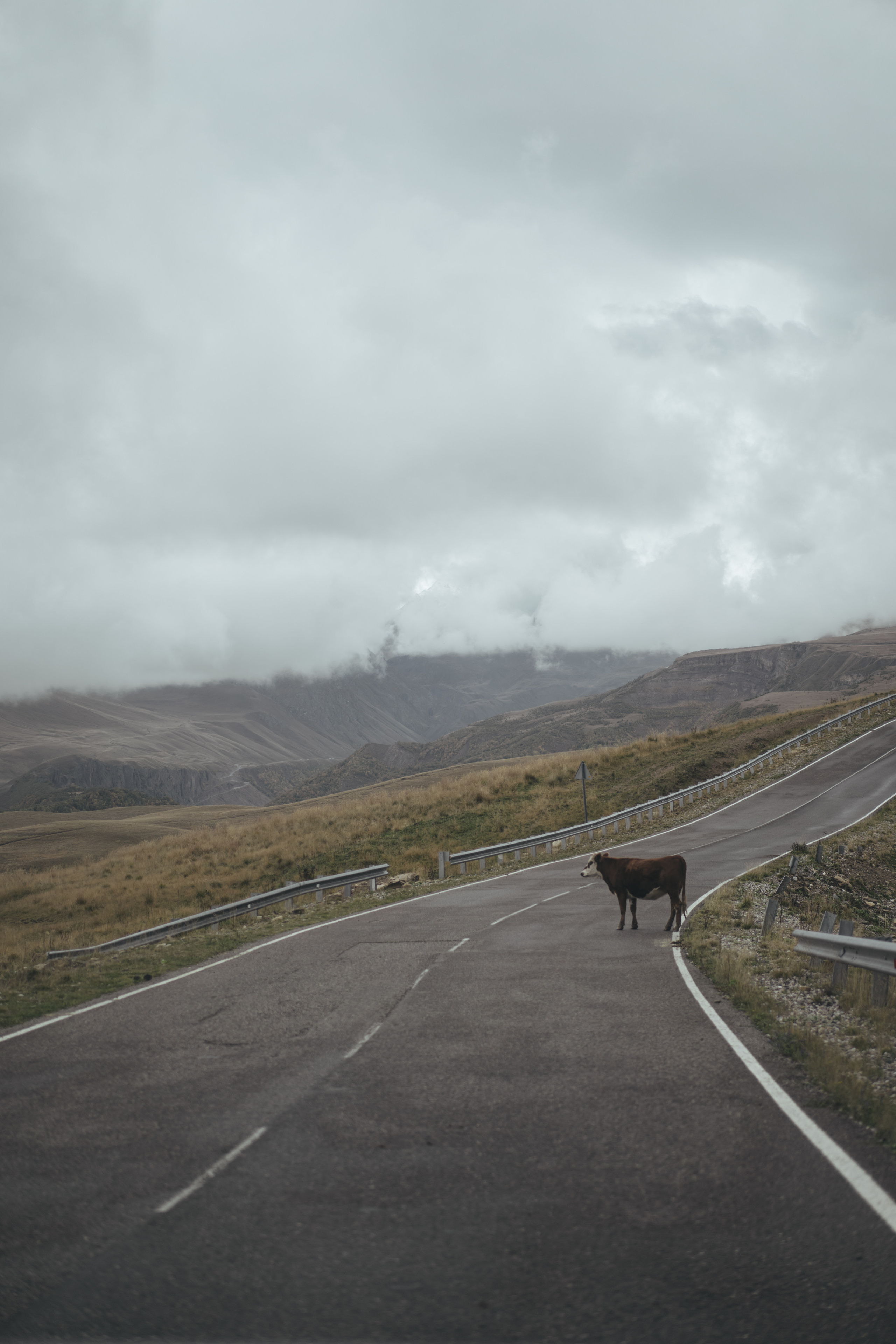 По дороге к Джилы- Су. Фотограф Дарья Филатова