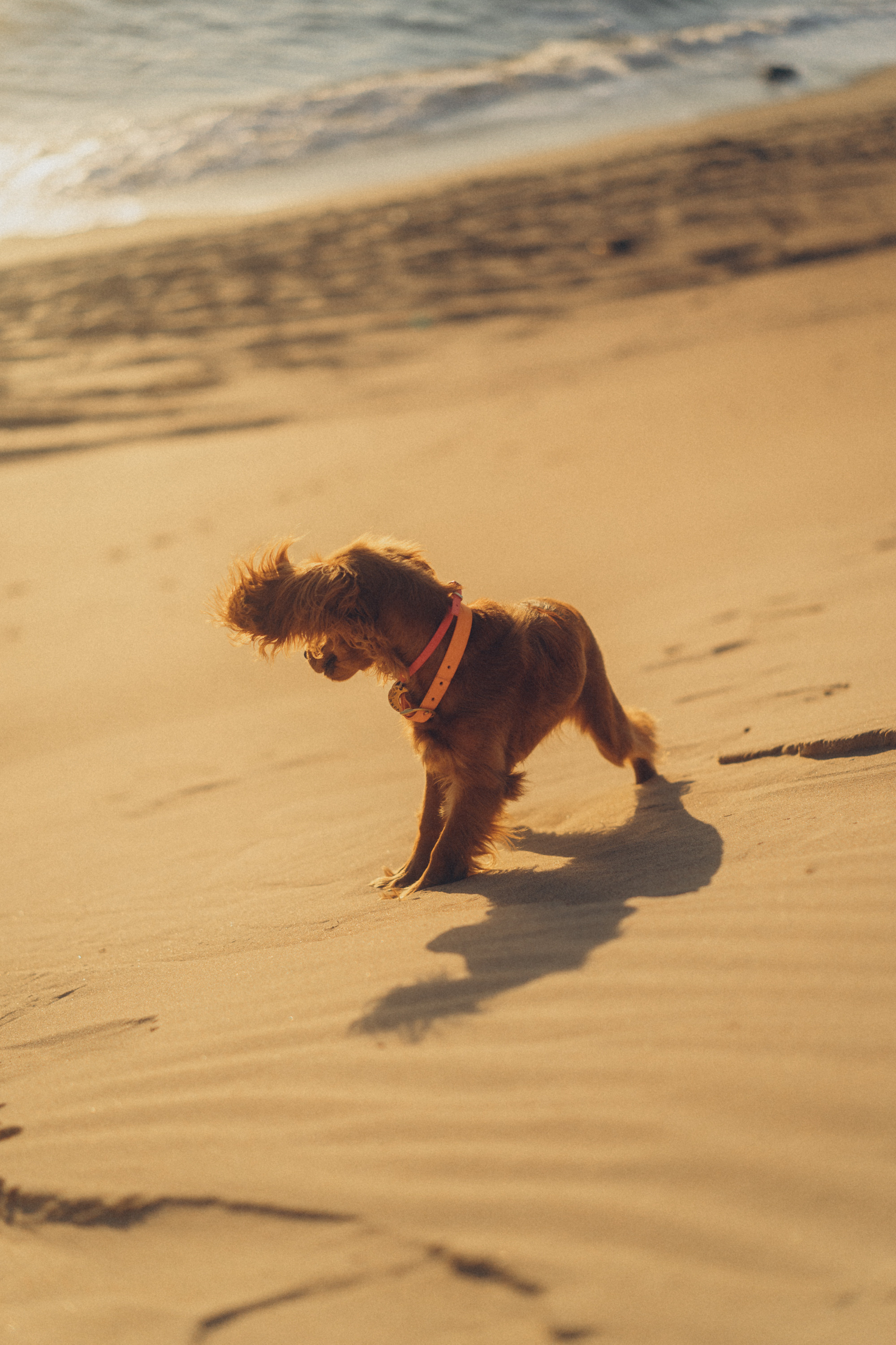 New home.black sea. Фотограф Дарья Филатова
