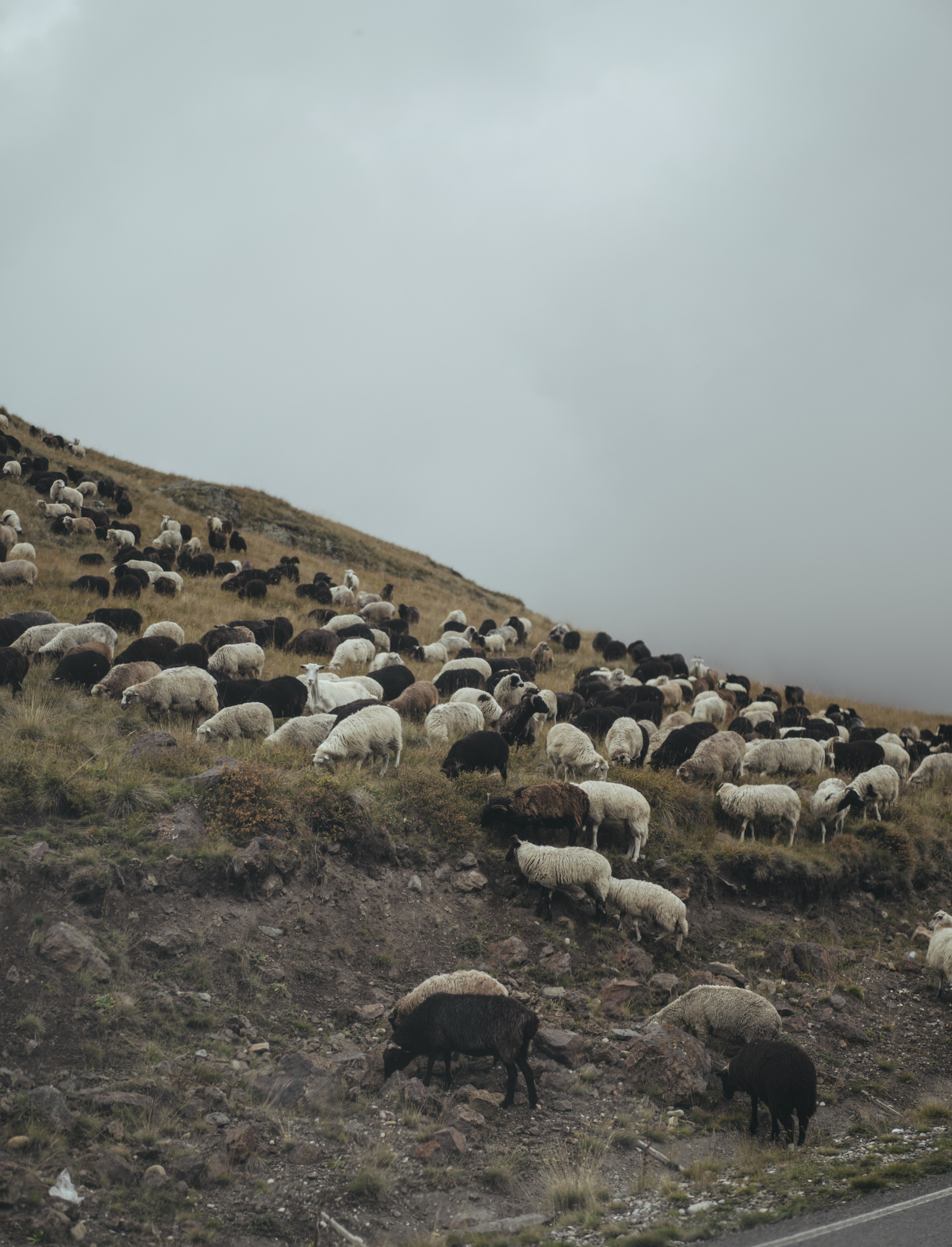 По дороге к Джилы- Су. Фотограф Дарья Филатова