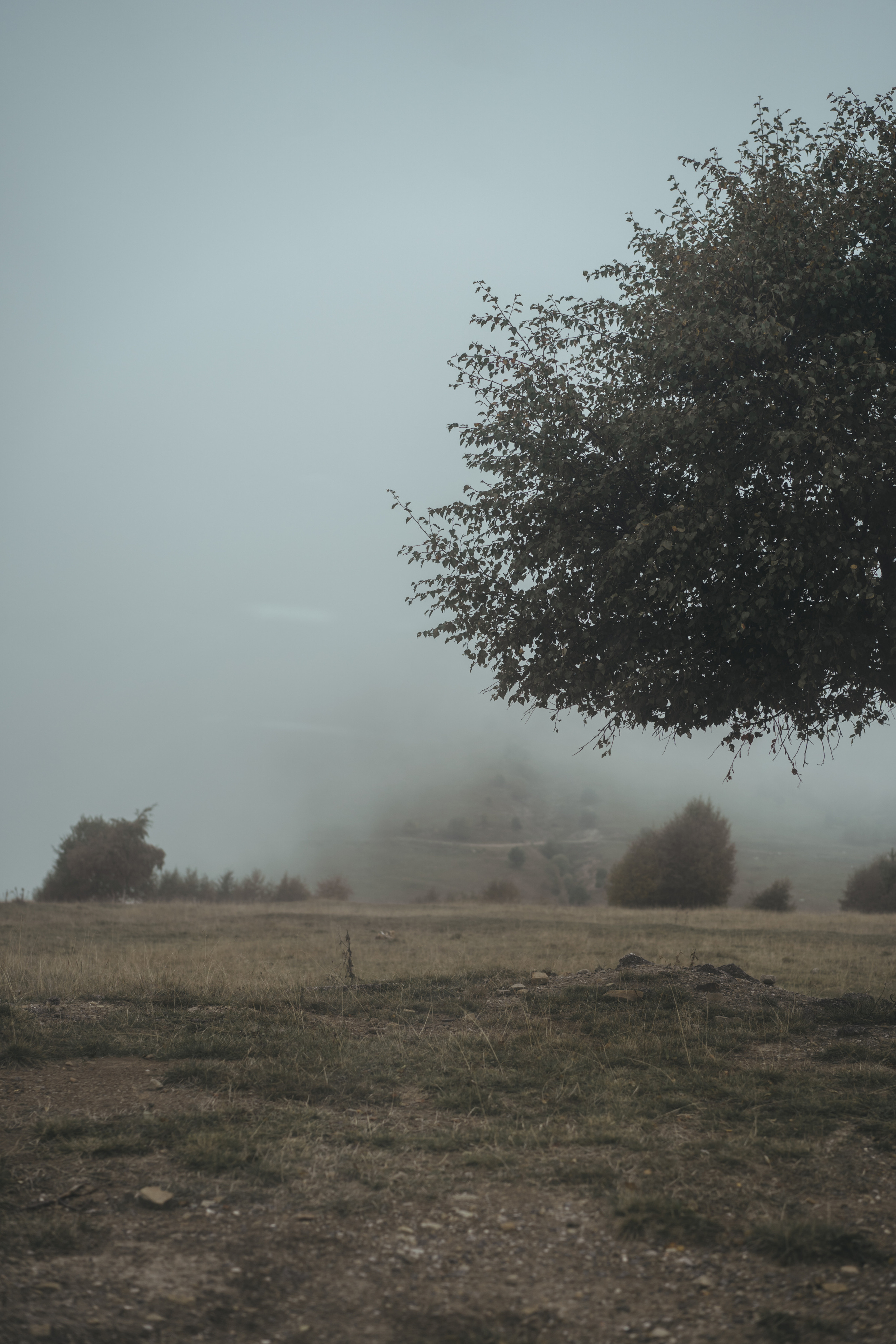 По дороге к Джилы- Су. Фотограф Дарья Филатова