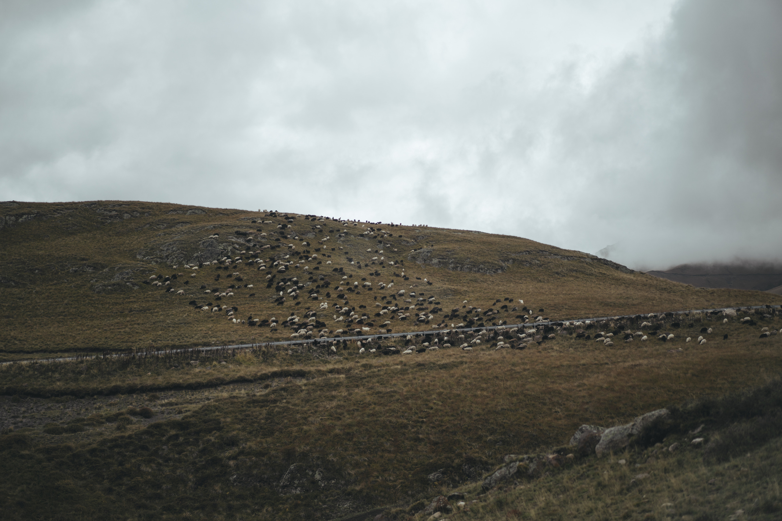 По дороге к Джилы- Су. Фотограф Дарья Филатова