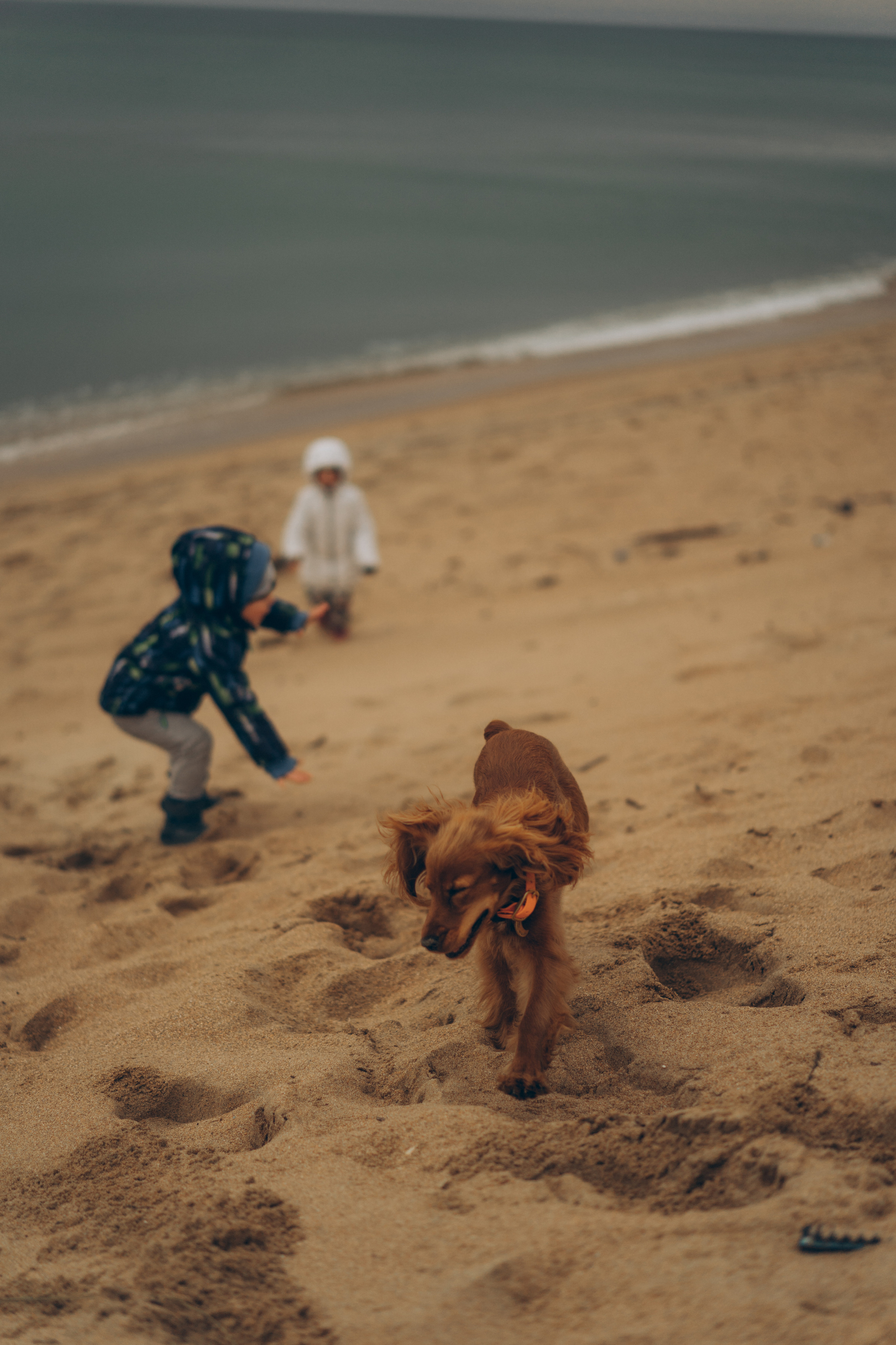 В сказке. Фотограф Дарья Филатова