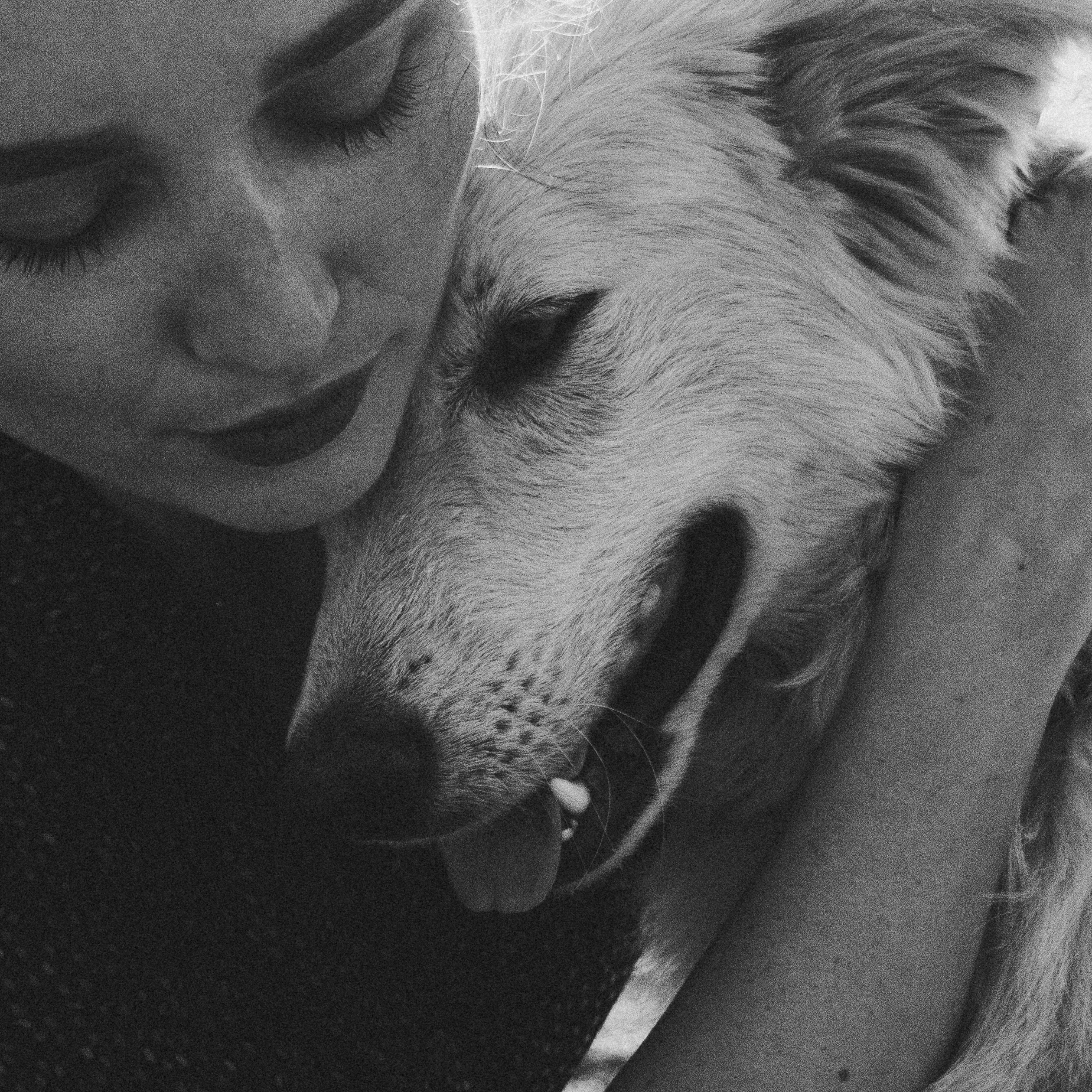 Ваши семейные истории. Фотограф Дарья Филатова