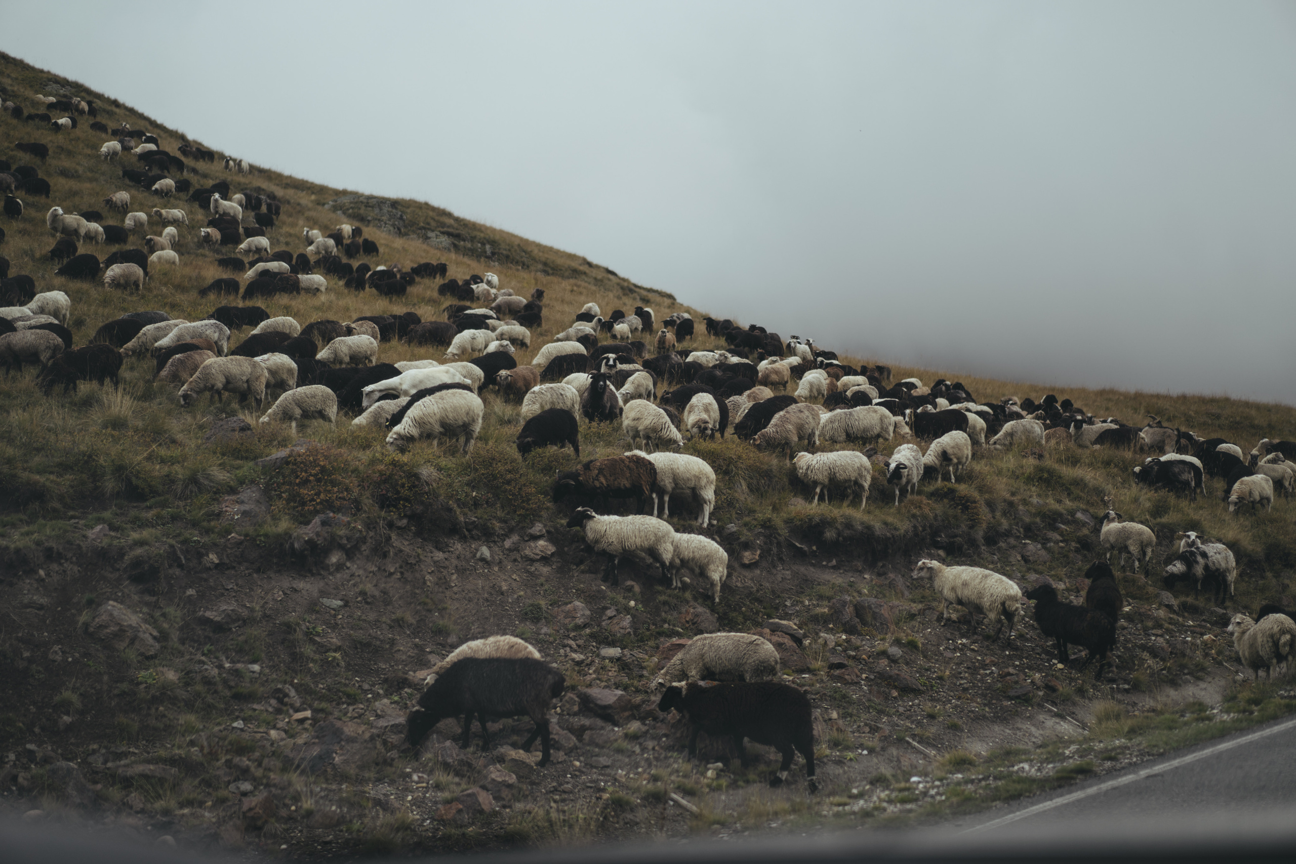 По дороге к Джилы- Су. Фотограф Дарья Филатова