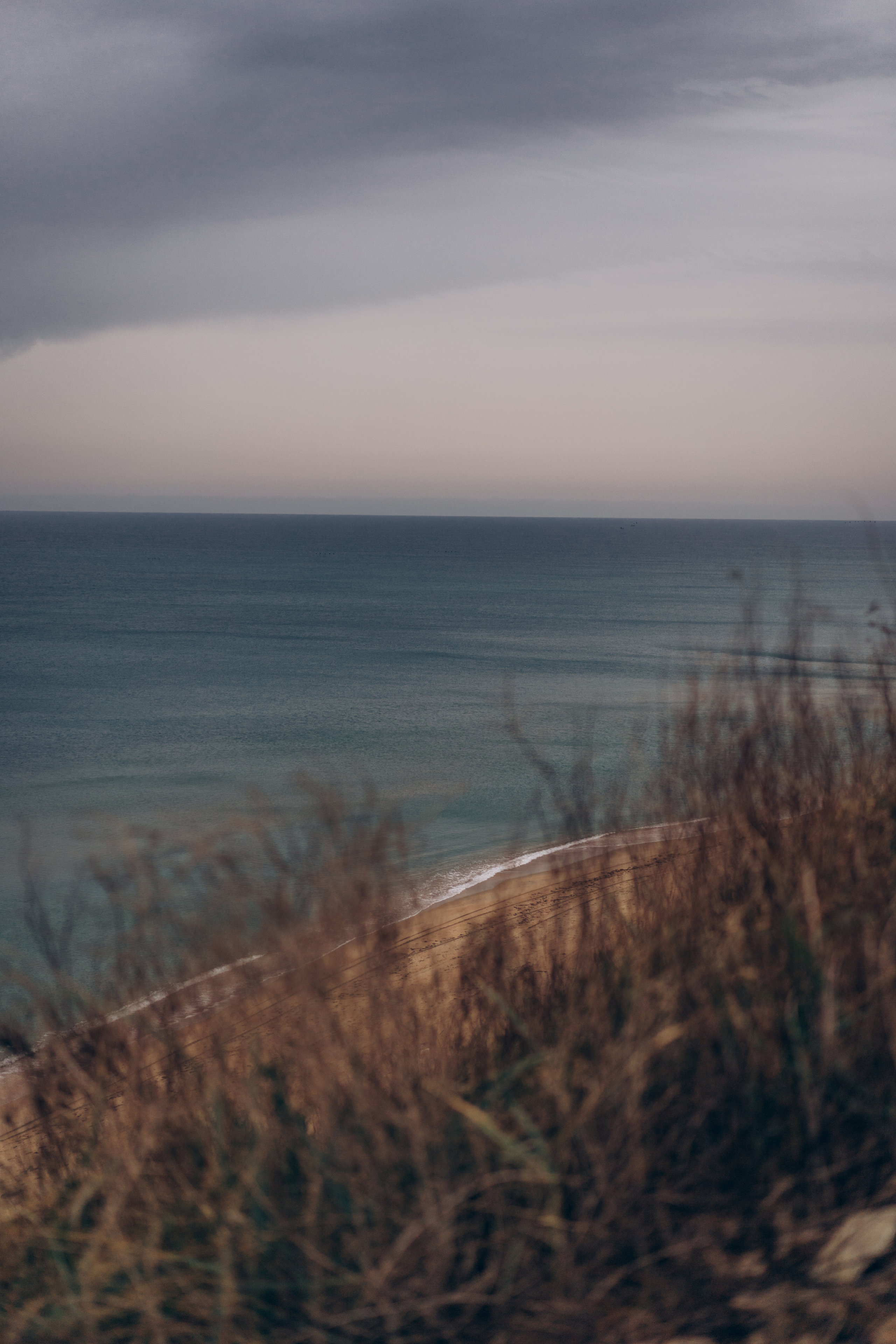 В сказке. Фотограф Дарья Филатова