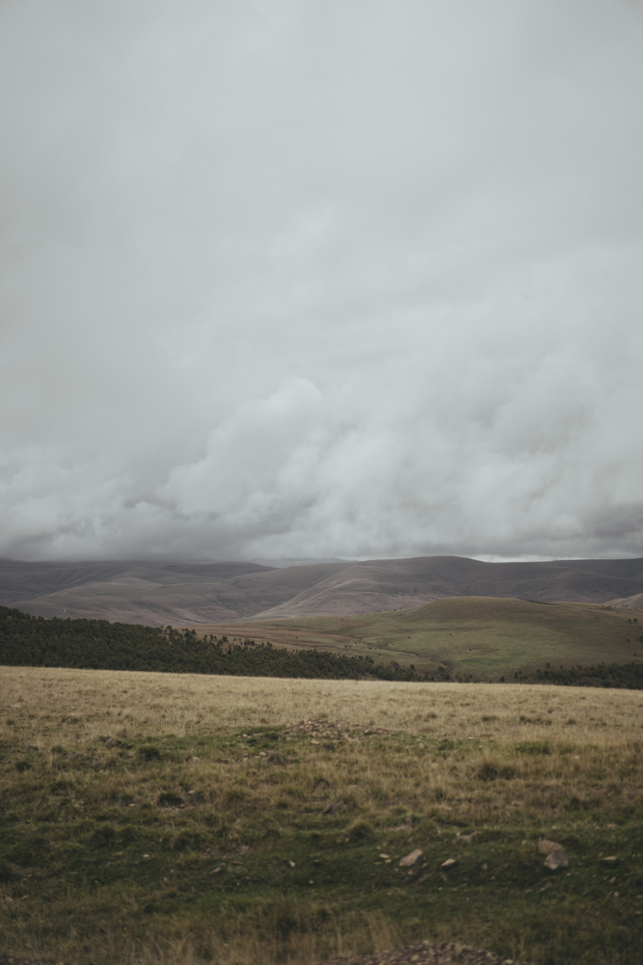 По дороге к Джилы- Су. Фотограф Дарья Филатова