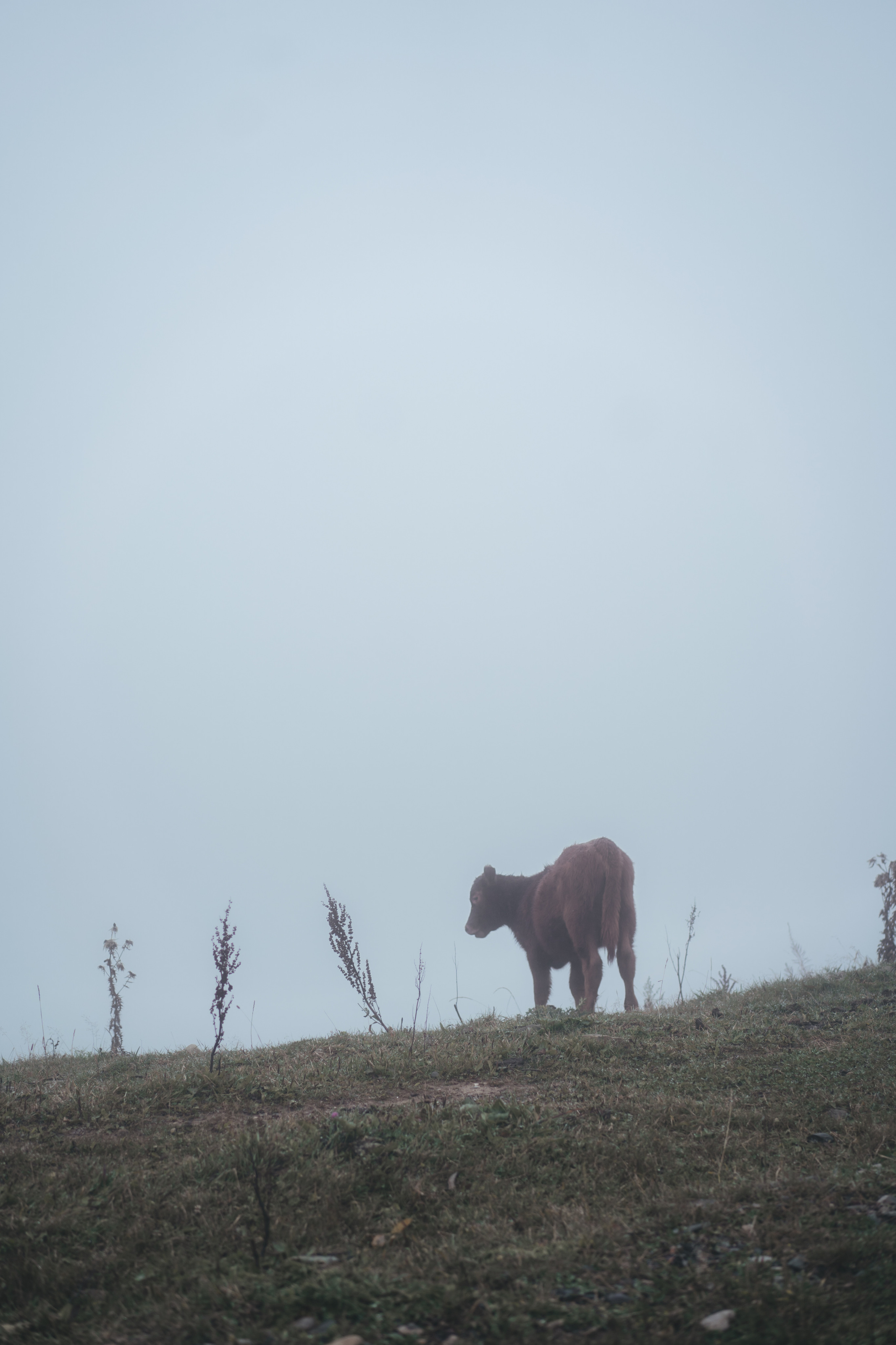 По дороге к Джилы- Су. Фотограф Дарья Филатова