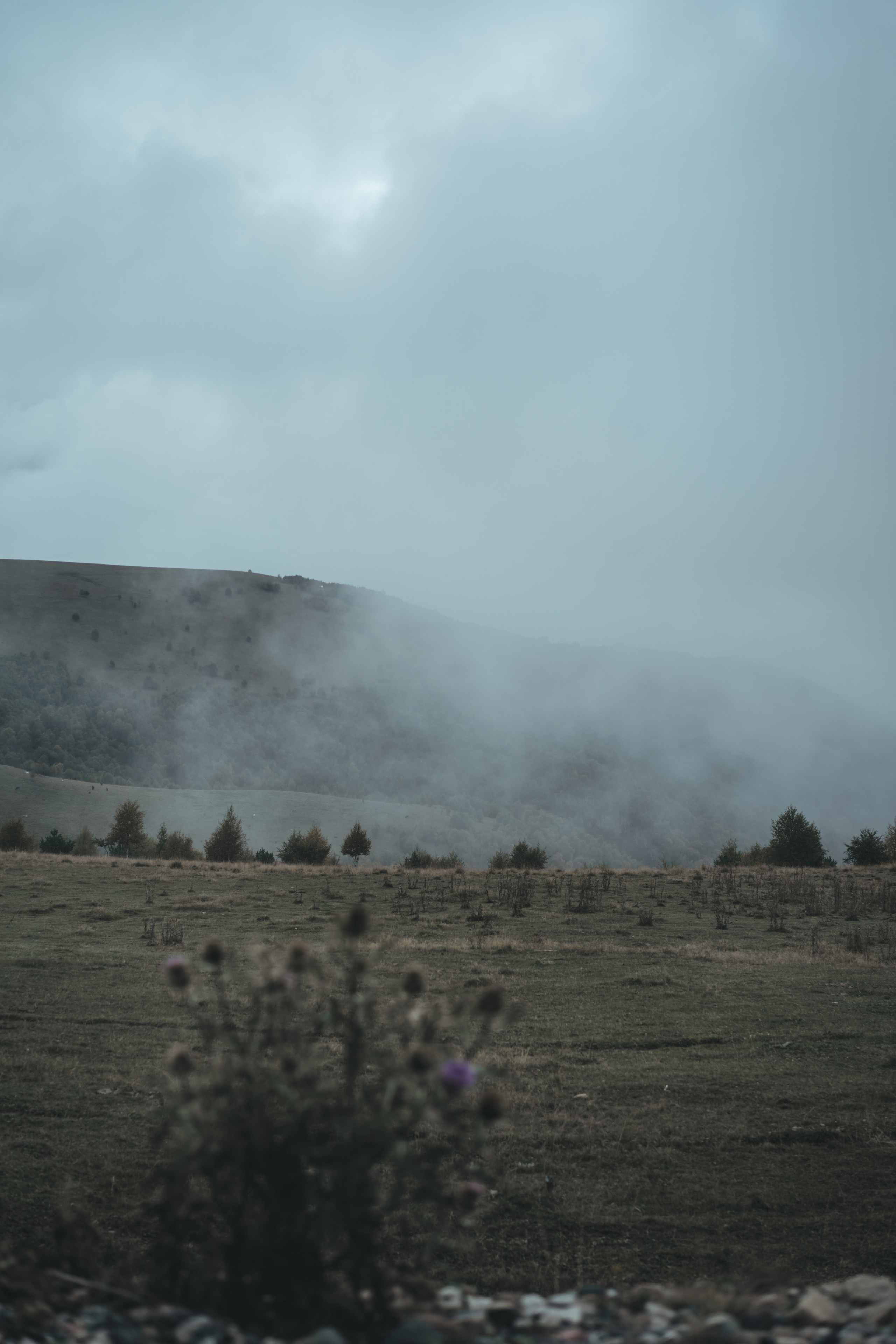 По дороге к Джилы- Су. Фотограф Дарья Филатова